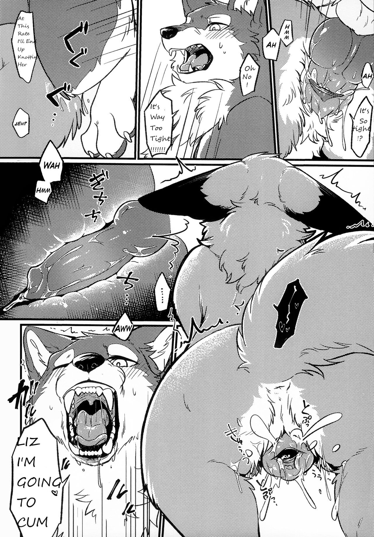 (Furrymosa 5) [Kaiten ParaDOGs (Minaga Tsukune)] IN THE FOREST [English] [Decensored] 이미지 번호 11