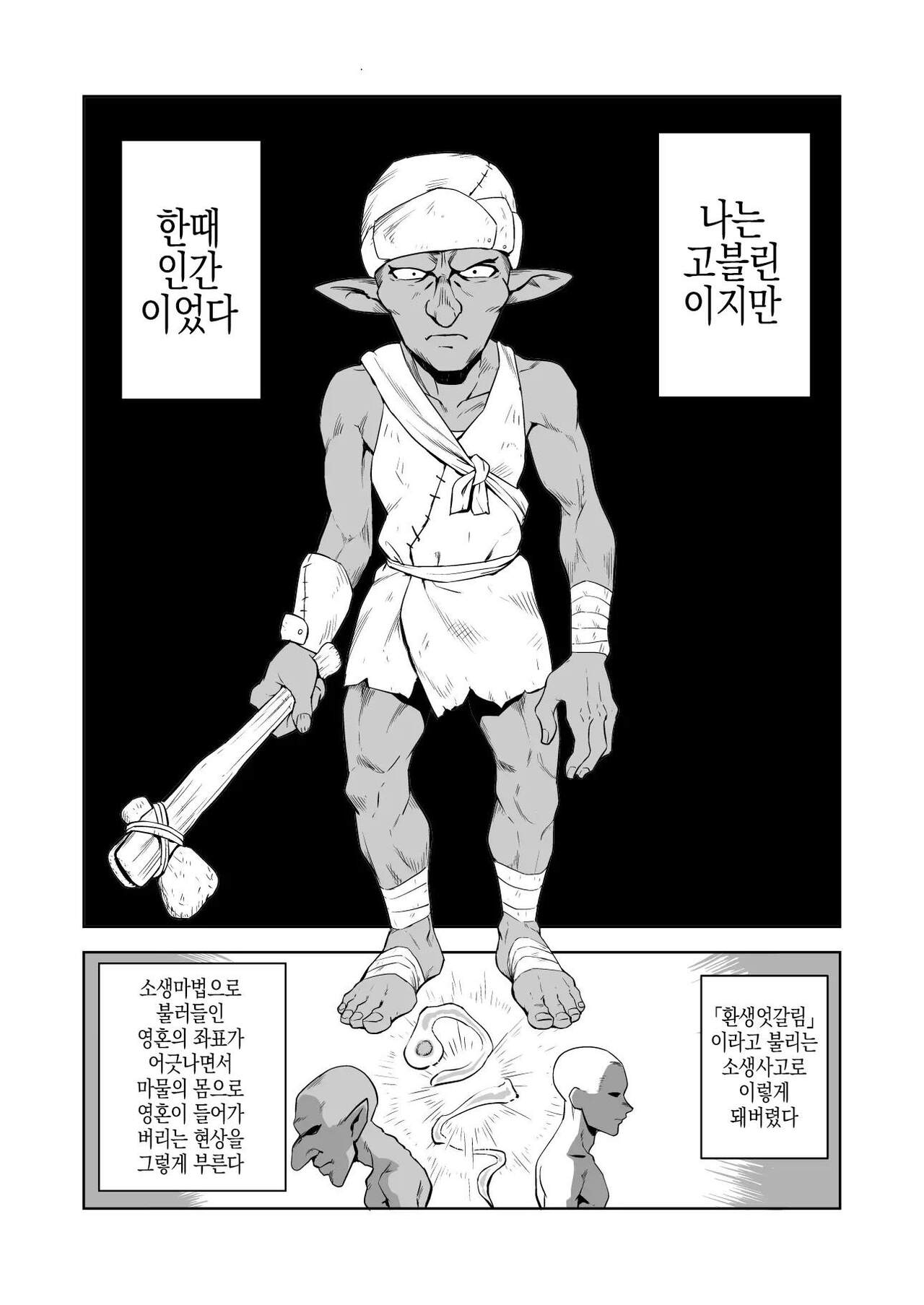 [Yamabatake] 고블린과 여기사 [Korean] изображение № 1