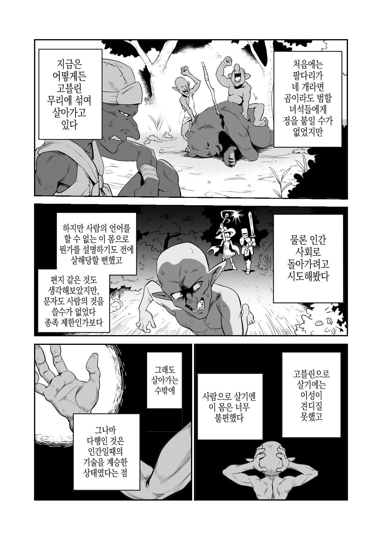 [Yamabatake] 고블린과 여기사 [Korean] изображение № 2