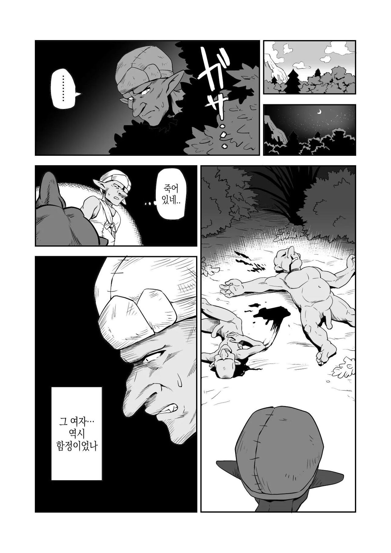 [Yamabatake] 고블린과 여기사 [Korean] изображение № 6