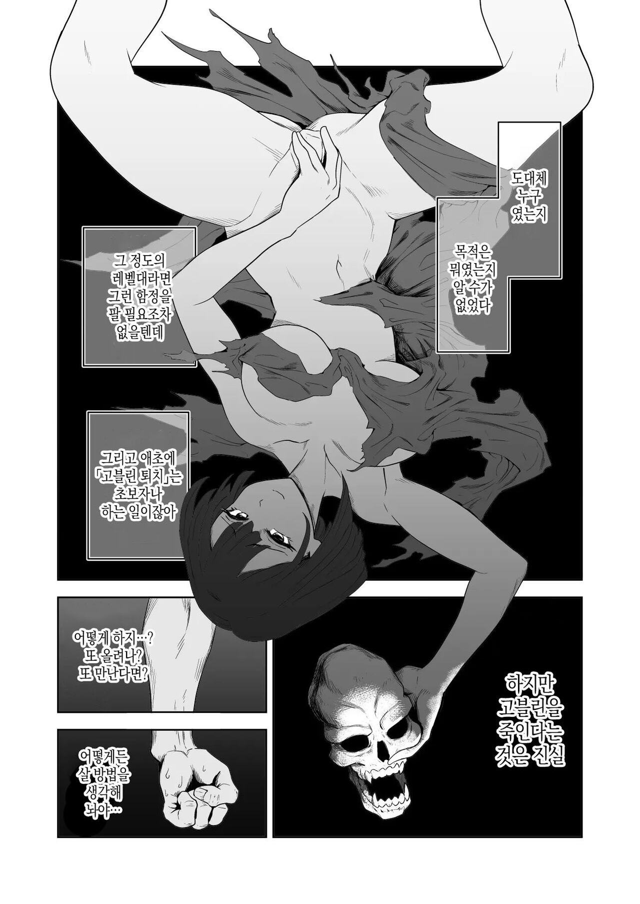 [Yamabatake] 고블린과 여기사 [Korean] изображение № 7