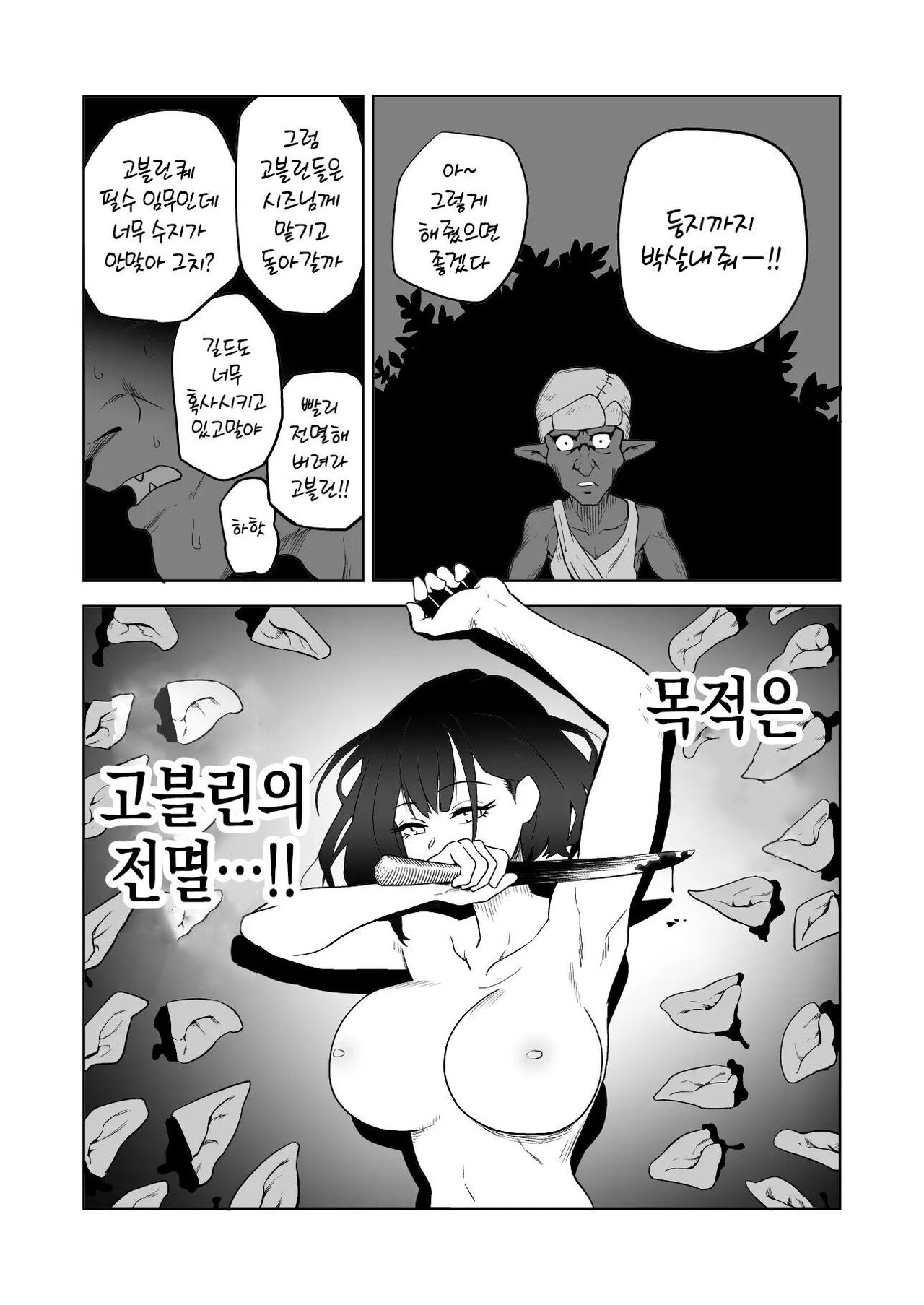 [Yamabatake] 고블린과 여기사 [Korean] изображение № 11