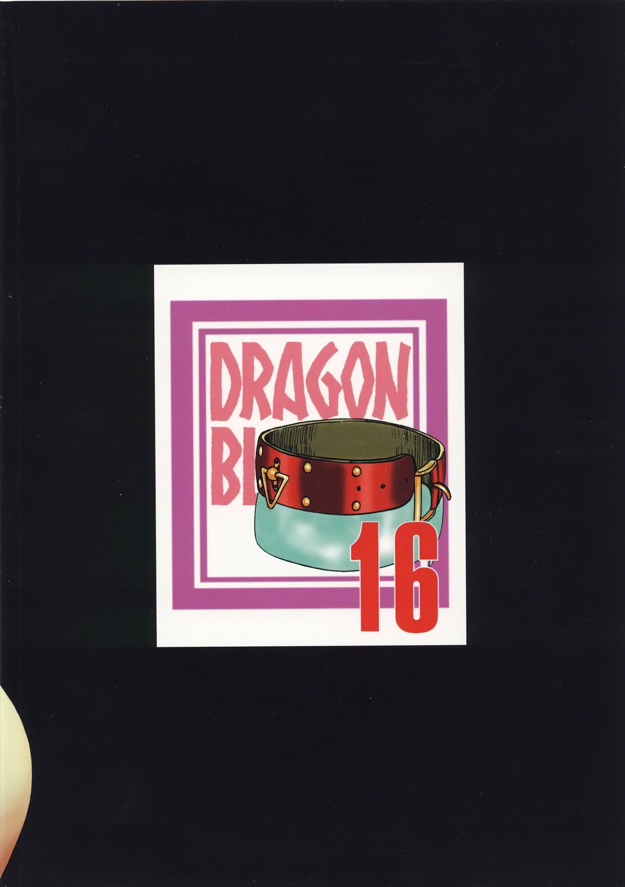(C74) [LTM. (Taira Hajime)] Nise DRAGON BLOOD! 16. [Chinese] [WindSong个人汉化] image number 2