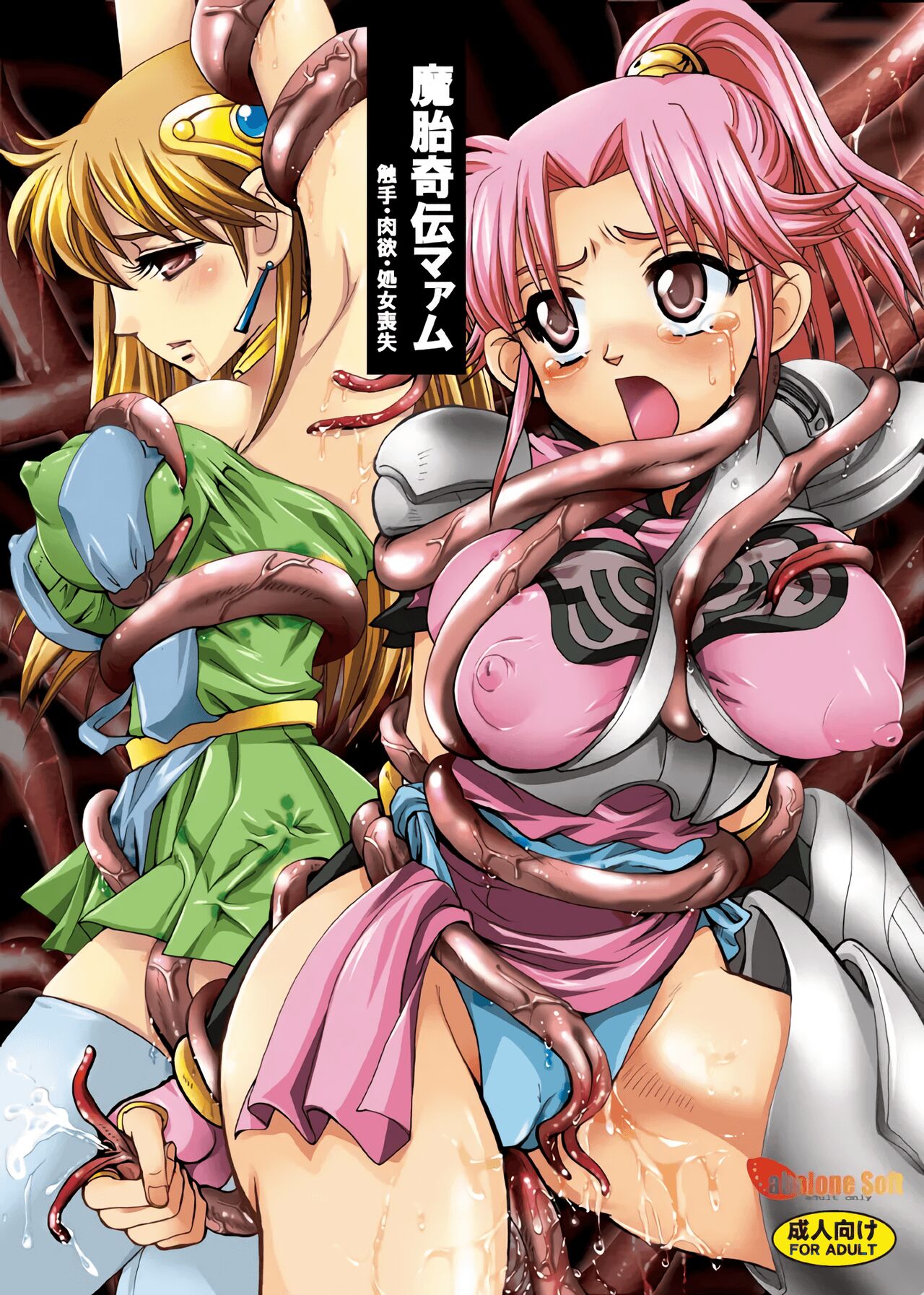 (C76) [Abalone Soft (Modaetei Imojirou)] Mataikiden Maam | 마태기전 마암 (Dragon Quest Dai no Daibouken) [Korean] 이미지 번호 2