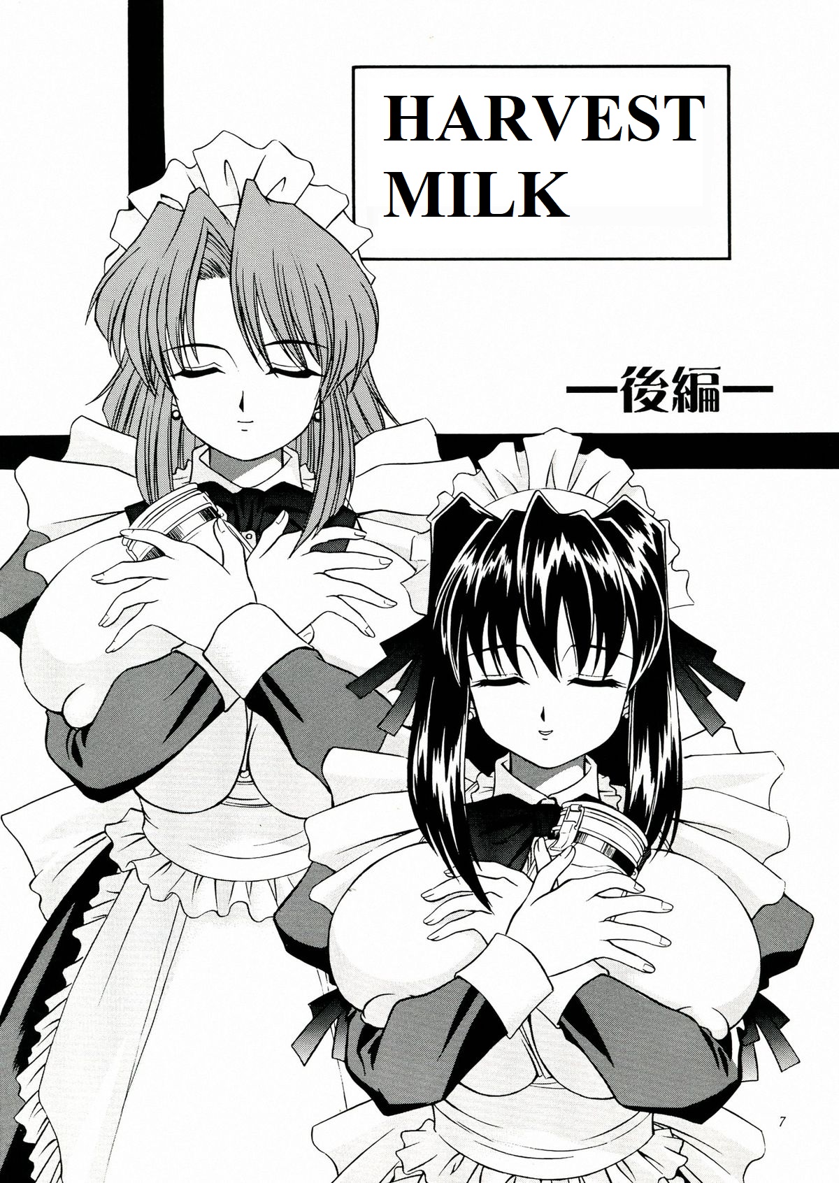 [MTL] (C60) [Narimasuya (Akiba Wataru)] DOLLS DIARY 5 (english) 画像番号 8