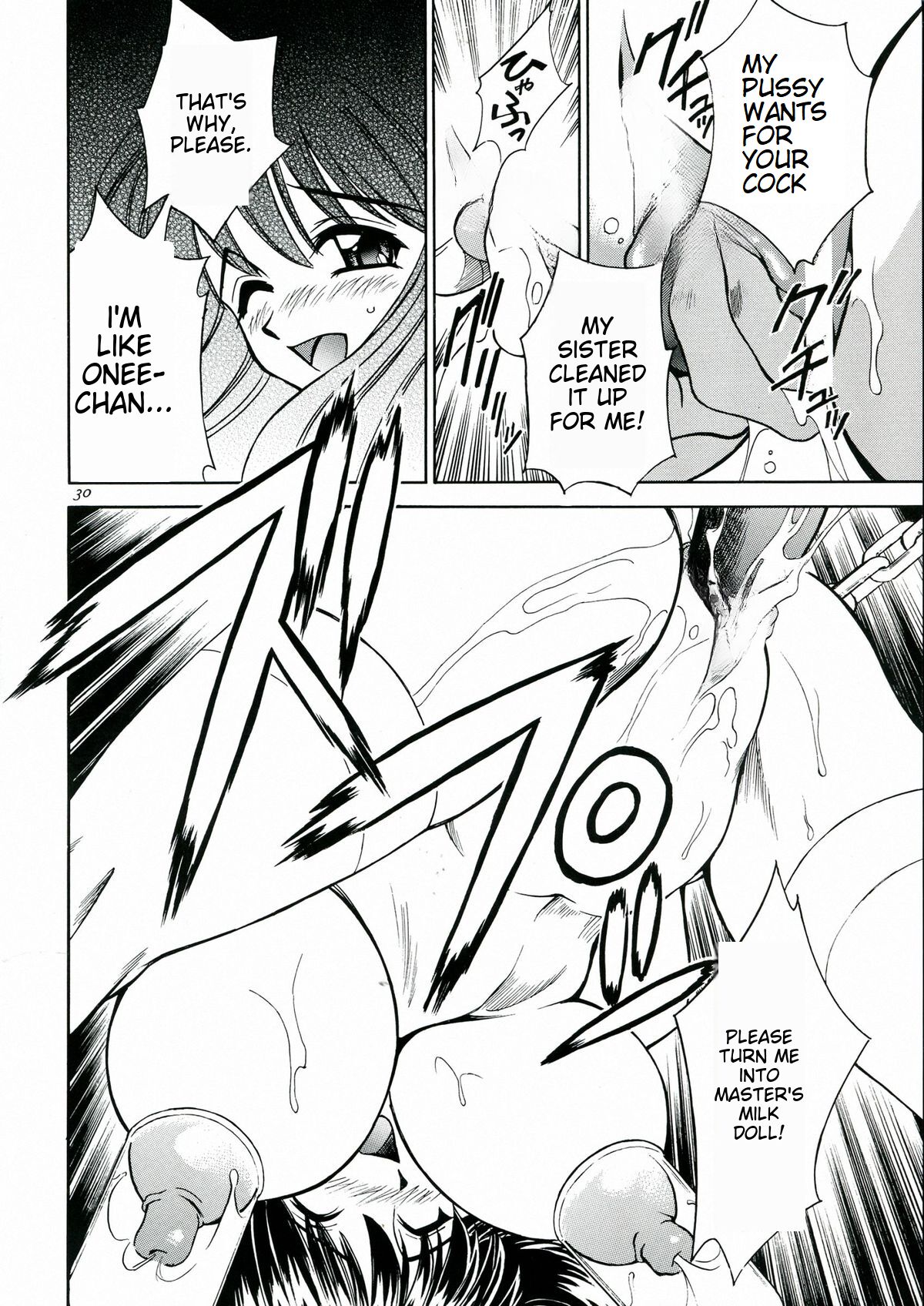 [MTL] (C60) [Narimasuya (Akiba Wataru)] DOLLS DIARY 5 (english) 画像番号 26