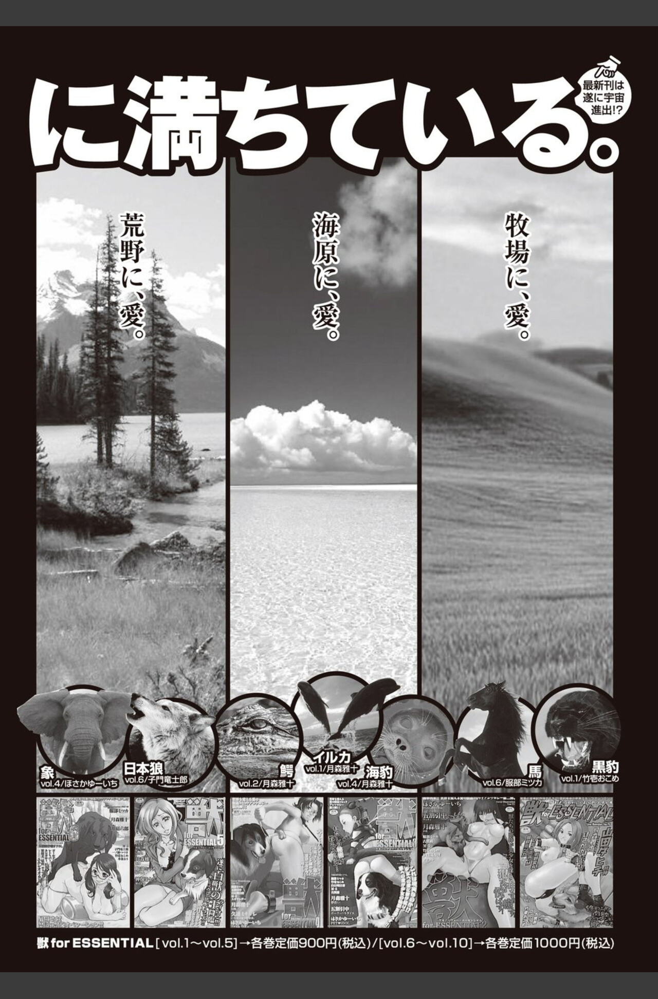 Bishoujo Kakumei KIWAME 2010-08 Vol.09 [Digital] 이미지 번호 192