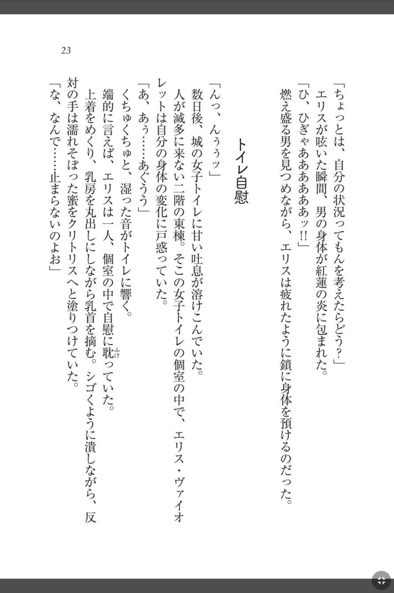 [天那コータ] 灼炎のエリス 私、勇者やめて雌豚になります! image number 23