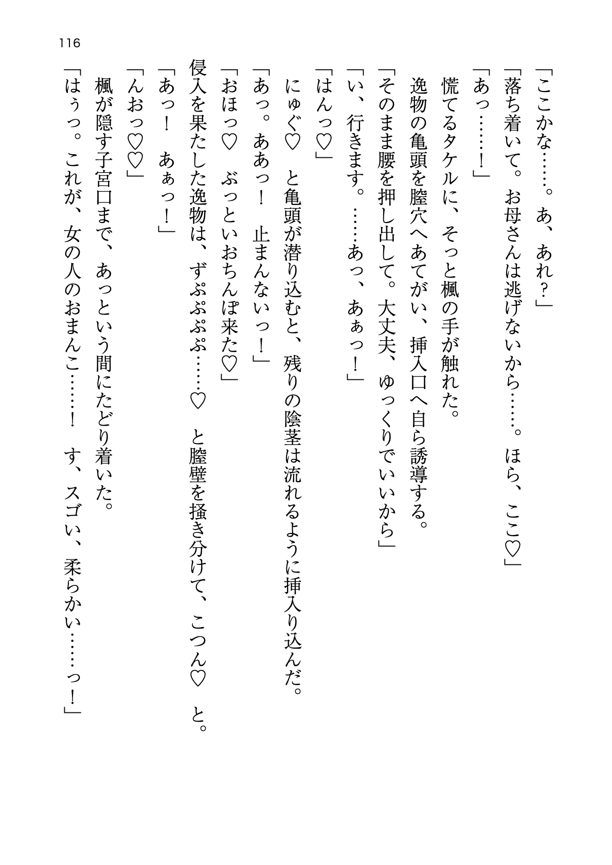 [Atelier TODO (zig)] Shinpi no Biyaku ga Fukidasu Hitou! Kobarami Onsen e Youkoso! 이미지 번호 116