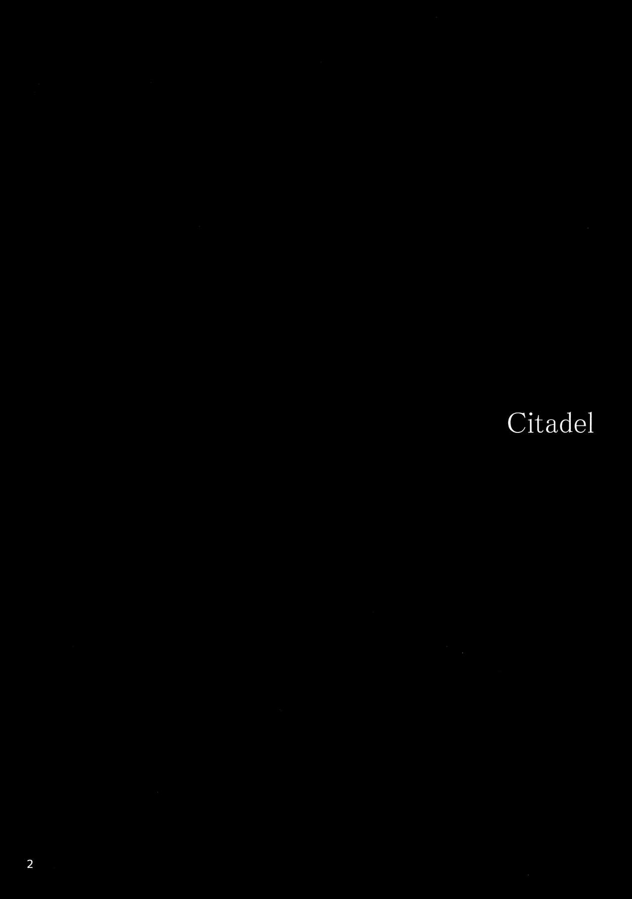 (C97) [furuike (Sumiya)] Citadel (Lord El-Melloi II Sei no Jikenbo) [English] [SDTLs] numero di immagine  4
