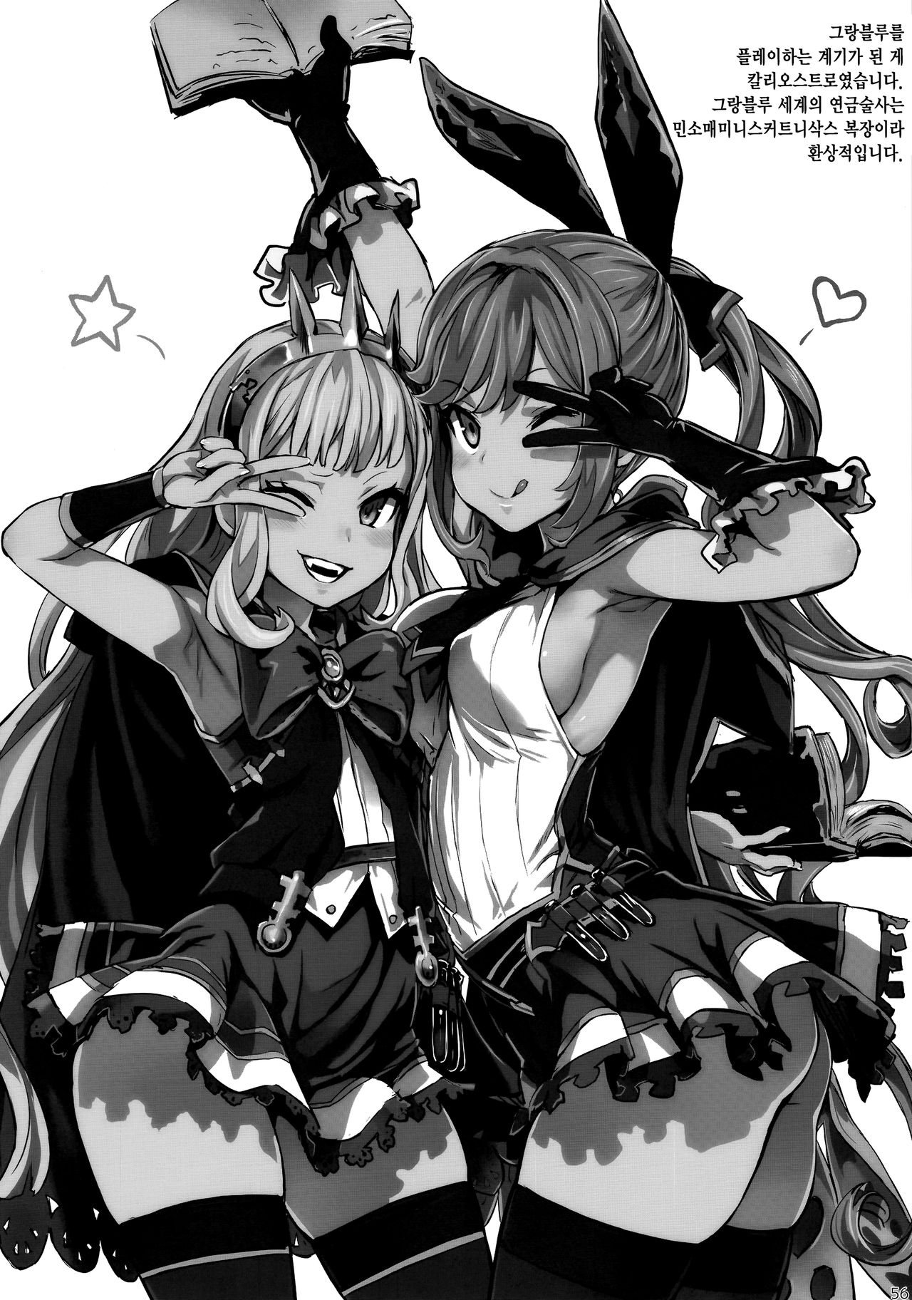 (C97) [Fatalpulse (Asanagi)] BOTTOM of the SKY (Granblue Fantasy) [Korean] [Team Edge] [Incomplete] 이미지 번호 16