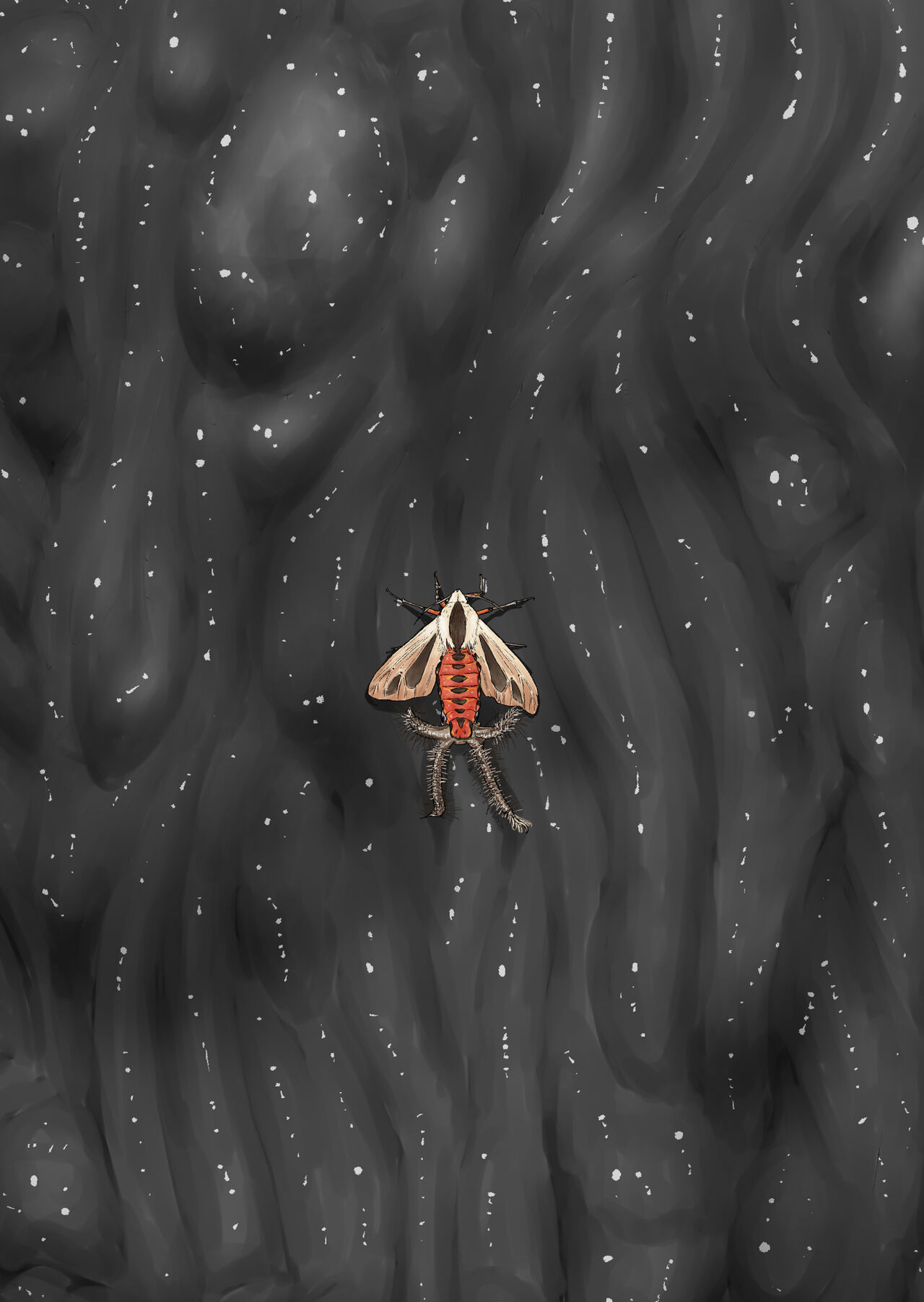 Shock触ブリギュア6 图片编号 2