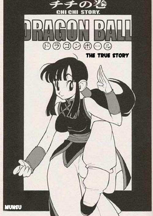 DBZ The True Story (françai) Bildnummer 1