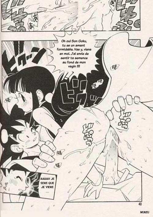 DBZ The True Story (françai) Bildnummer 6