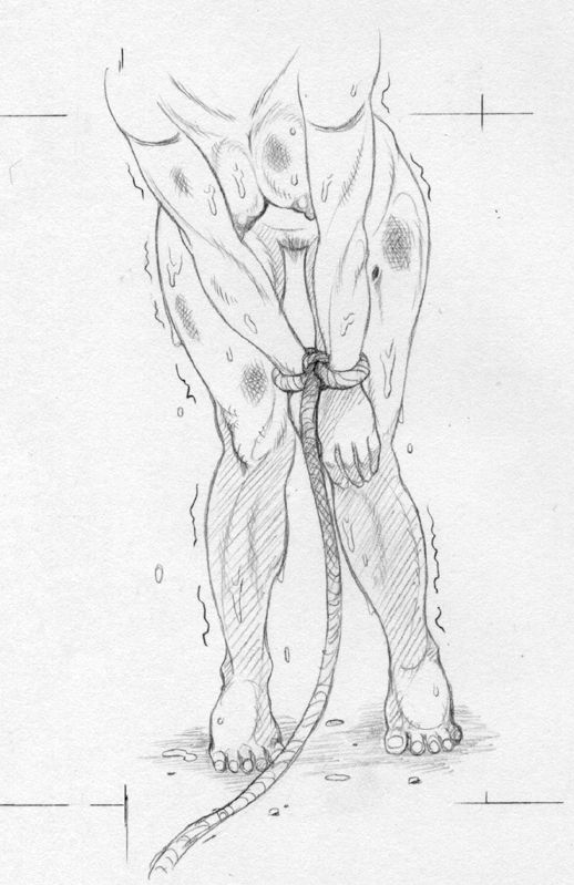 [Ruku-Pusyu (Orihata)] Asterisukusuku 2 (SoulCalibur) [Korean] [Digital] 图片编号 30