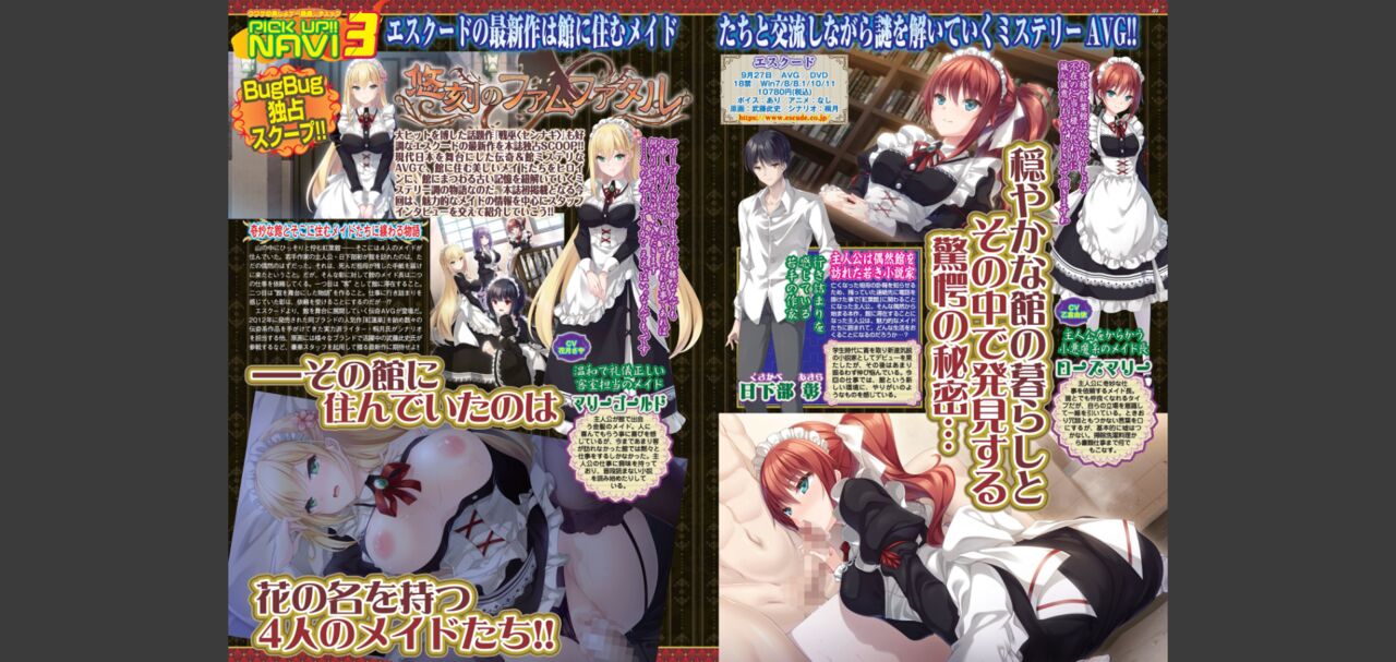 BugBug 2024-05 画像番号 24