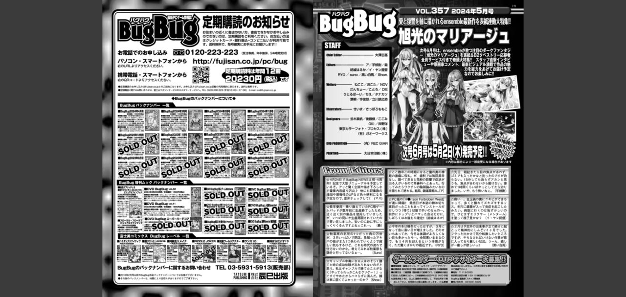 BugBug 2024-05 画像番号 85