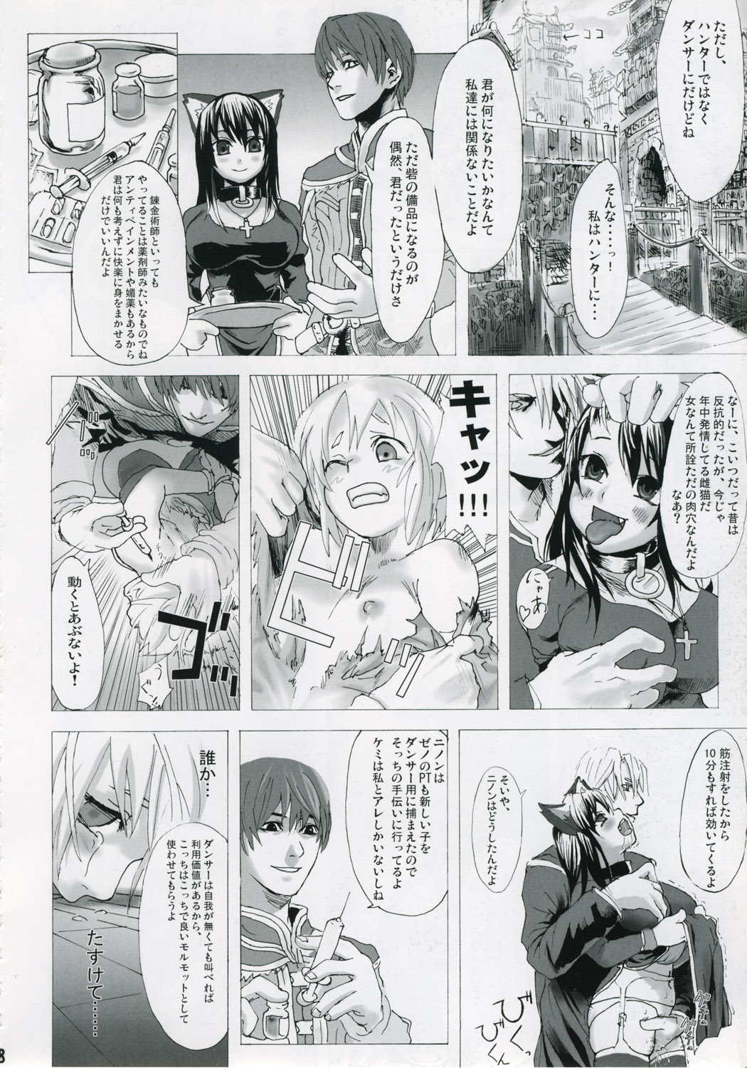 (C67) [Fatalpulse (Asanagi)] Victim Girls (Ragnarok Online) 图片编号 7