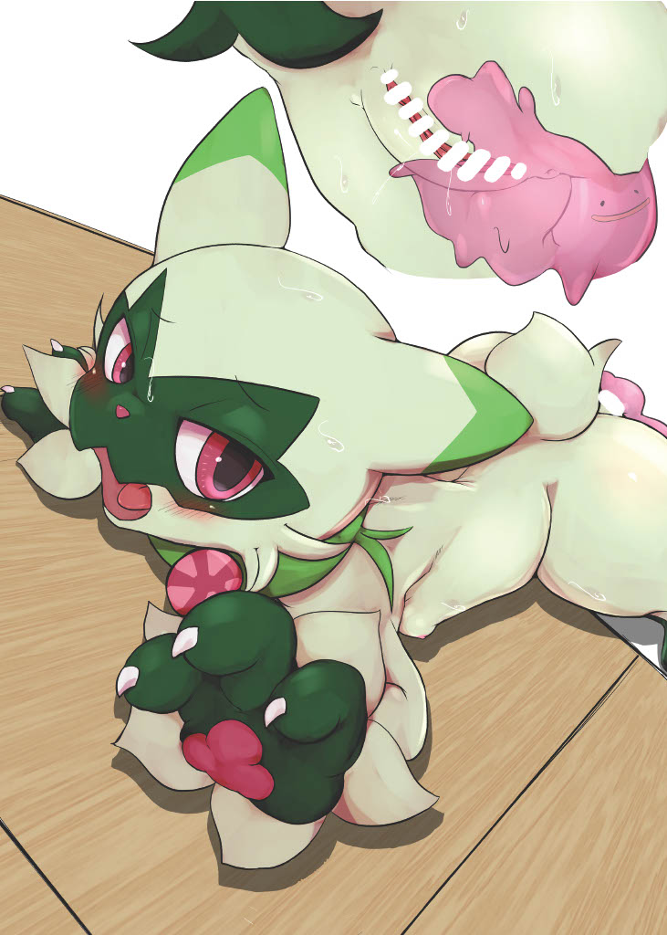 [Toiro no Iro (Various)] POKE THE BITCH!!! 8 (♀ Hen) (Pokémon) [Digital] 이미지 번호 16