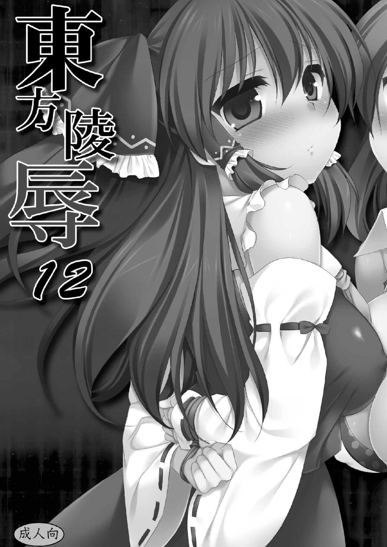 [Nagiyamasugi (Nagiyama)] Touhou Ryoujoku 12 (Touhou Project) [Digital] numero di immagine  2