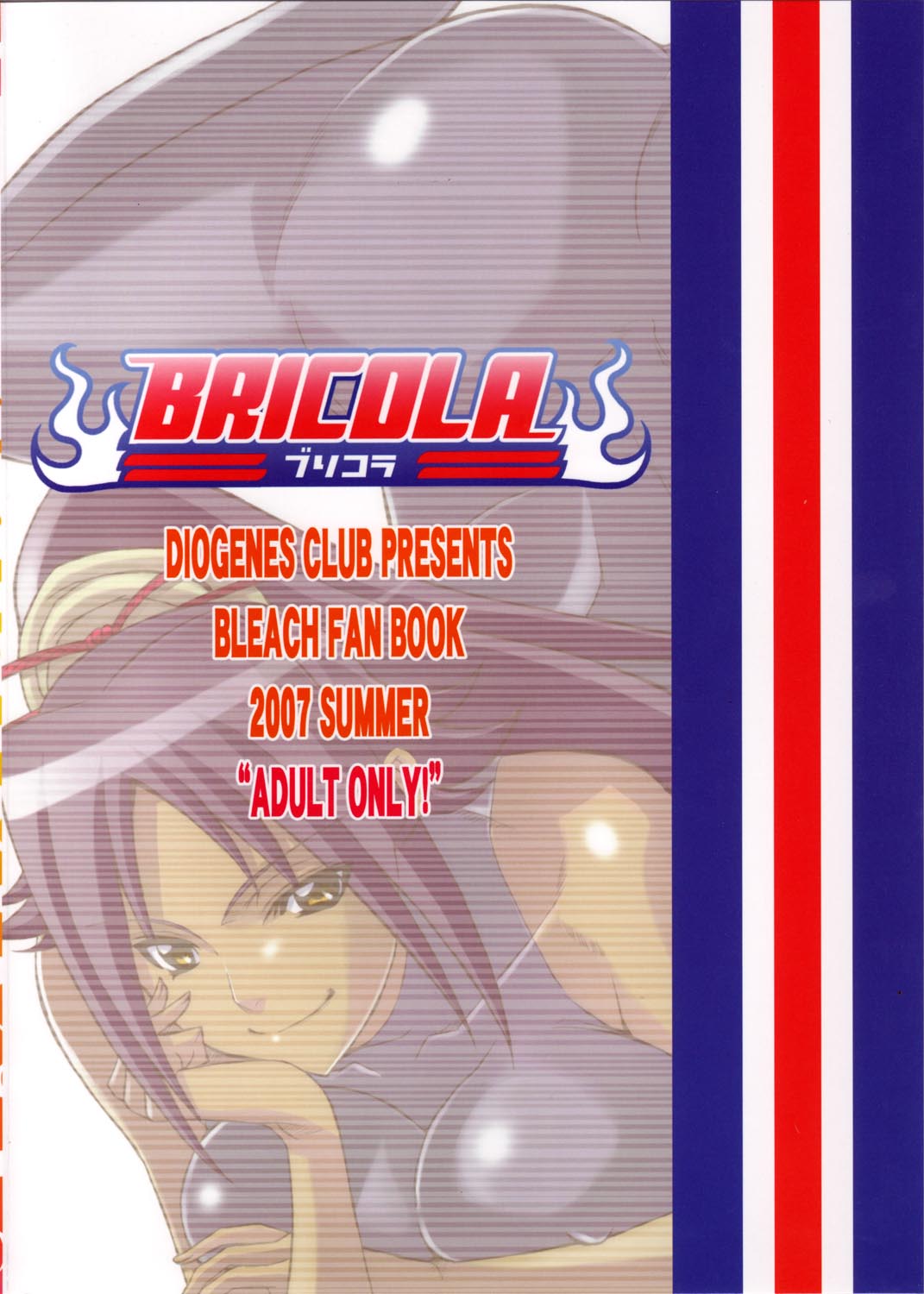 (C72) [Diogenes Club (Haikawa Hemlen)] BRICOLA (Bleach) 图片编号 2