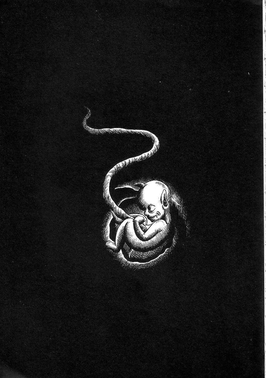 [Yazaki Tooru] Majo Kyoushi Mayako（匿名汉化） 图片编号 159