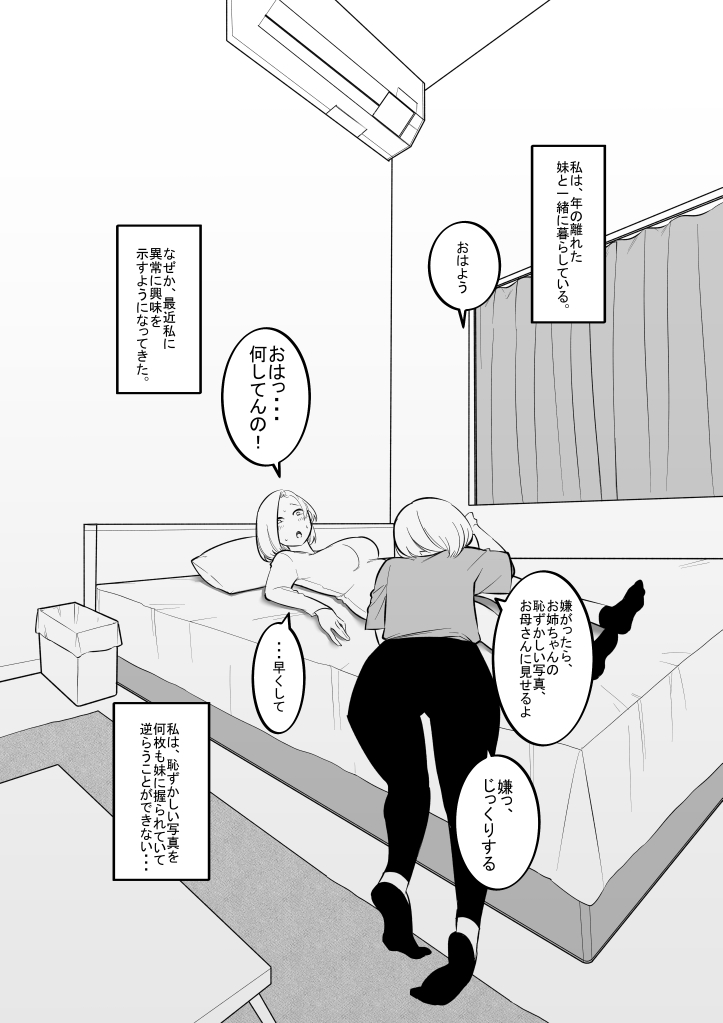 妹のおもちゃになった姉 이미지 번호 2
