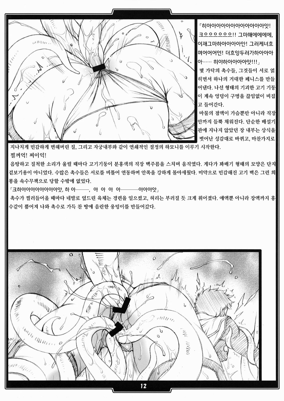 (SC37) [H・B (B-RIVER)] Faith. -the origin 1- [Korean] image number 11