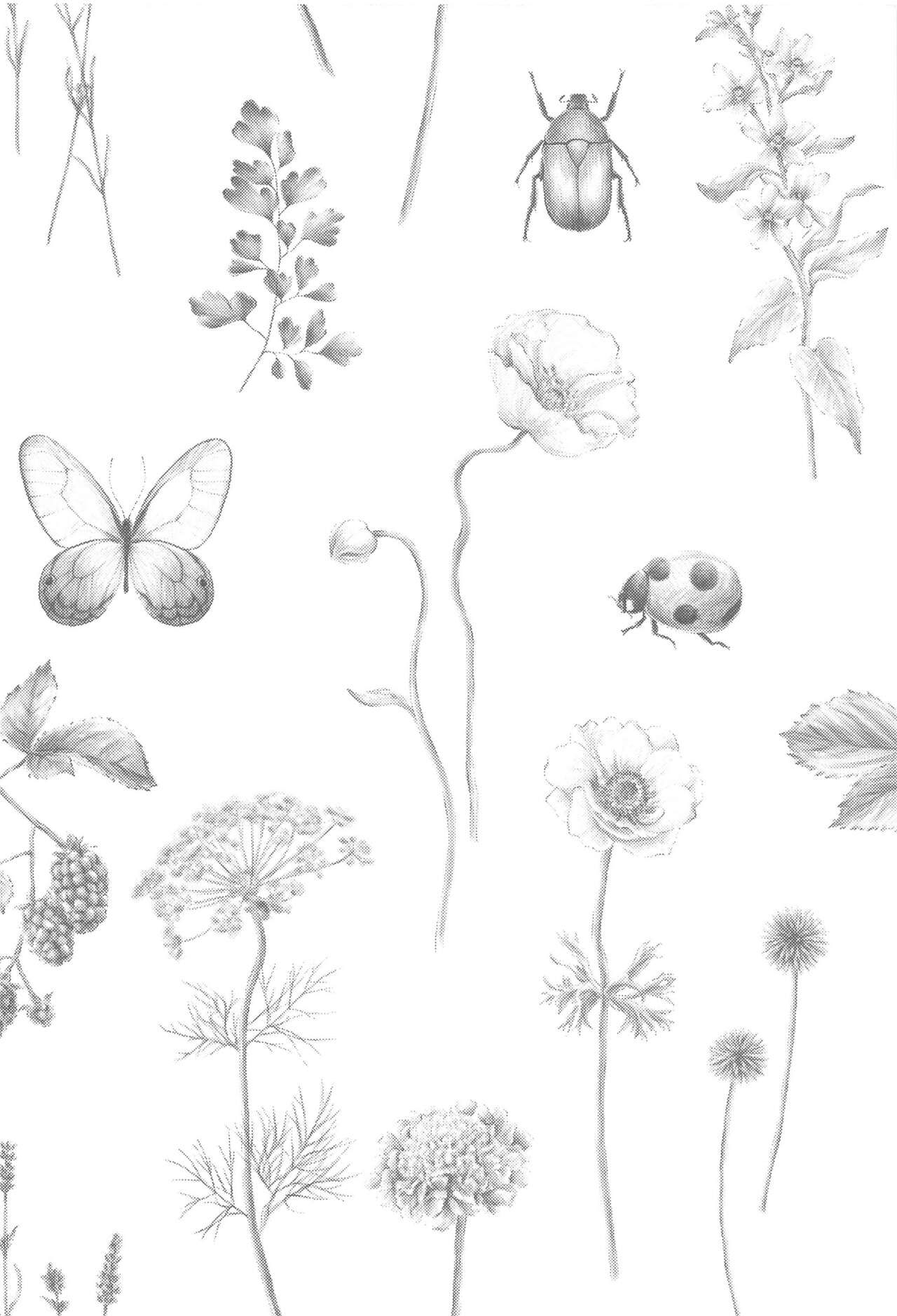 (Chou Kami no Eichi 2023 Natsu) [INUCHAN=LAND (Inui Shiro)] Doku o Kurawaba  Sara made. (Genshin Impact) image number 3