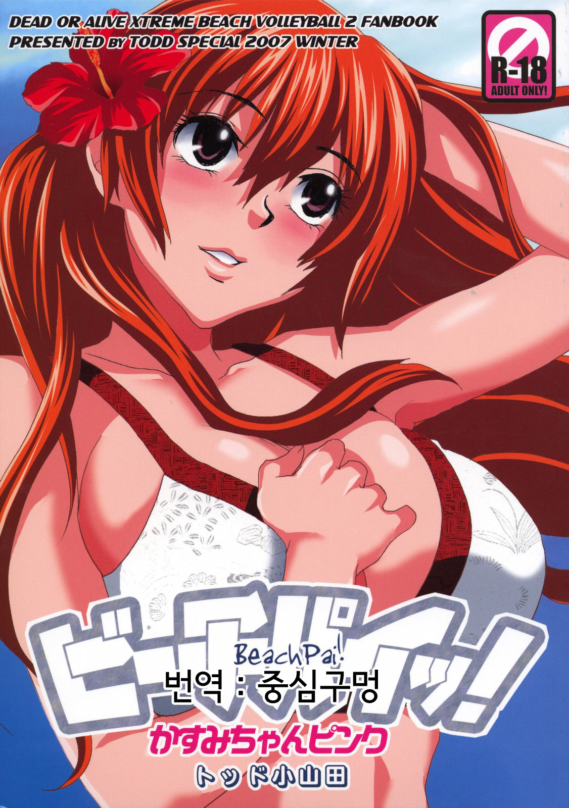 (C73) [Todd Special (Todd Oyamada)] Beach Pai! Kasumi-chan Pink (Dead or Alive Xtreme Beach Volleyball) [Korean] [중심구멍] изображение № 1