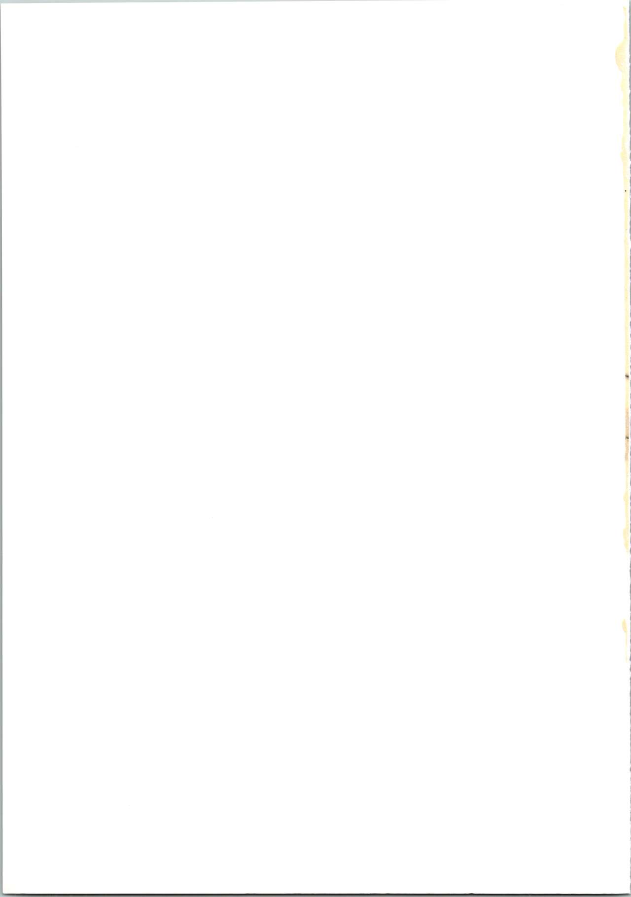 [Busou Yousei (Funato Hitoshi)] Takeyo 2005 Okuma (Okusama wa Mahou Shoujo) image number 39