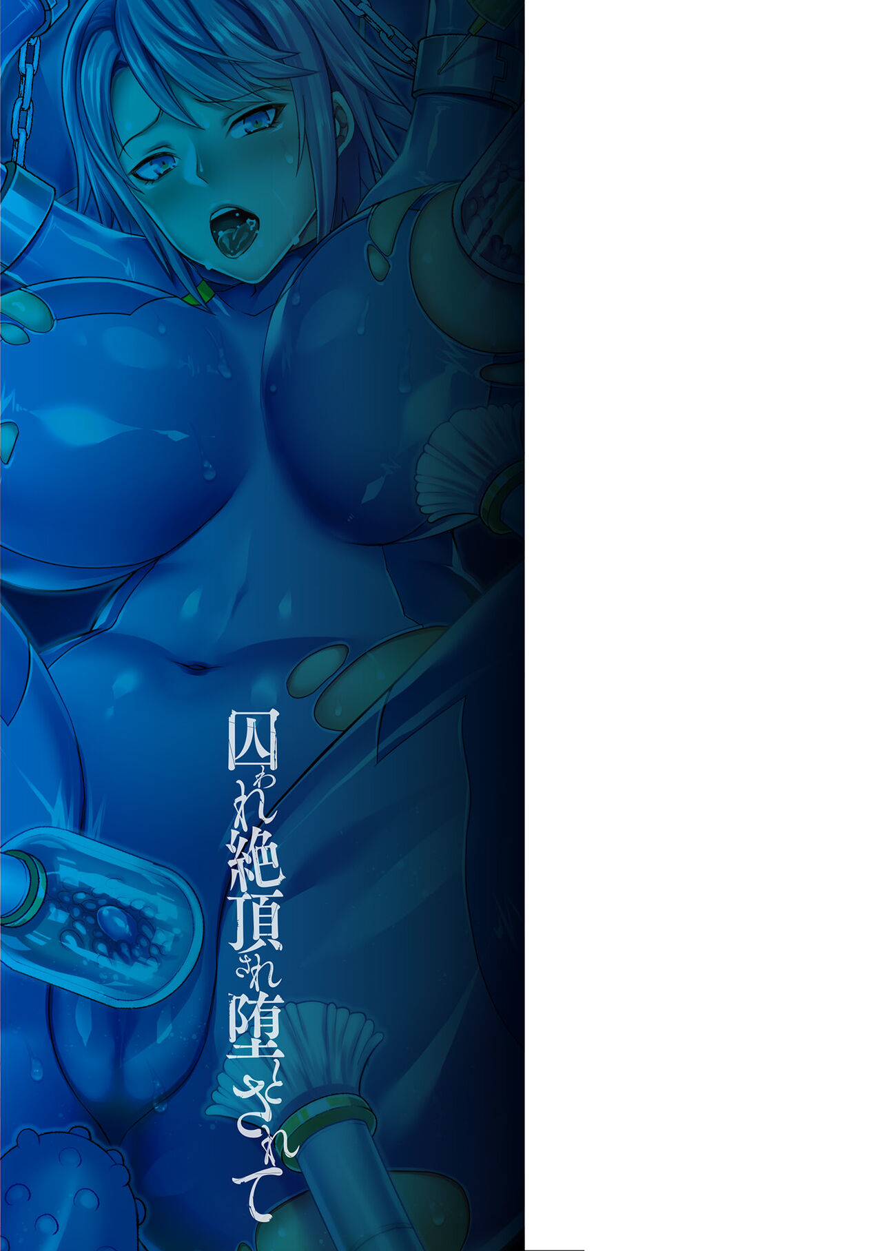 [Shibuki Oroshi] Toraware Ikasare Otosarete [Chinese] [Digital] 图片编号 189