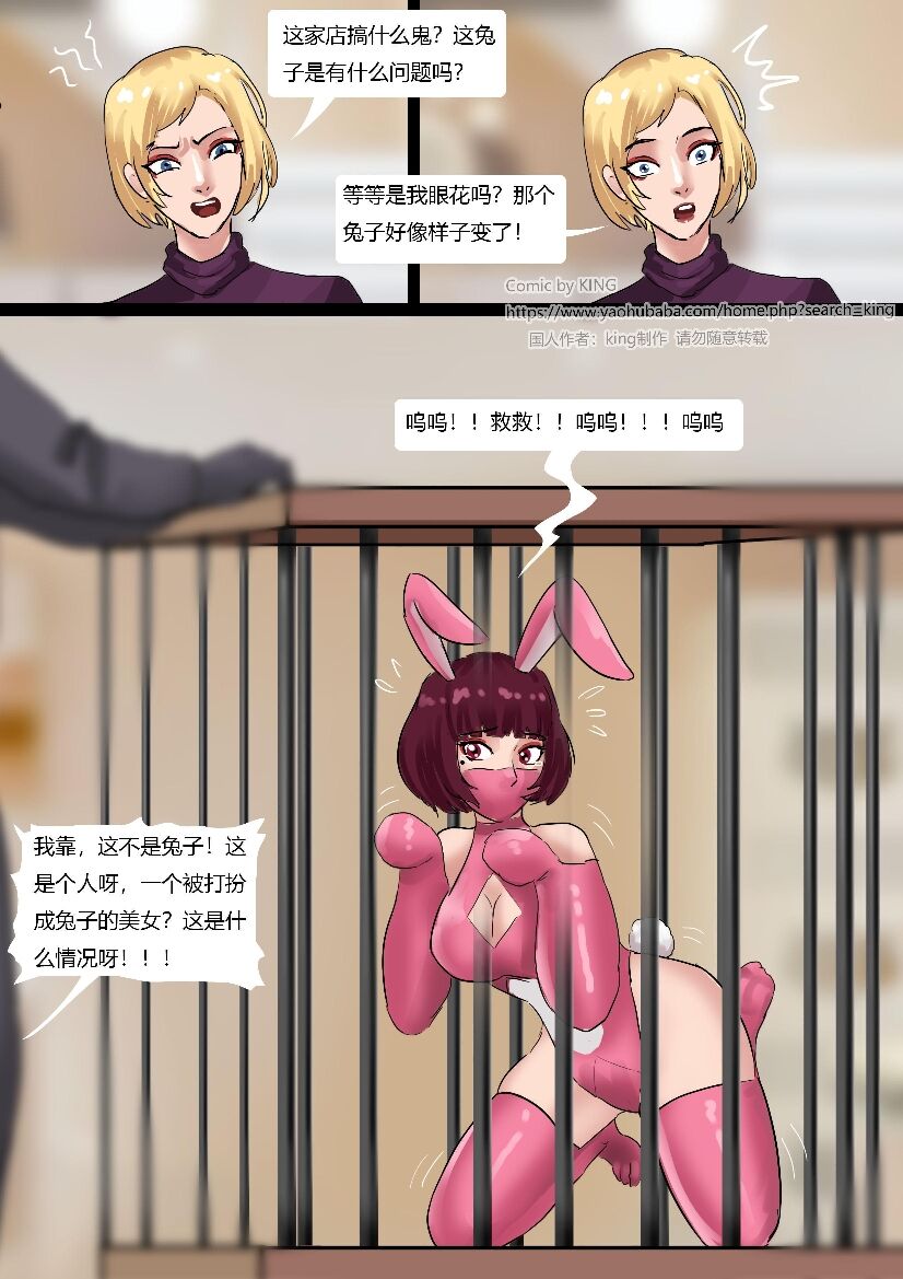 [King] Petshop image number 4