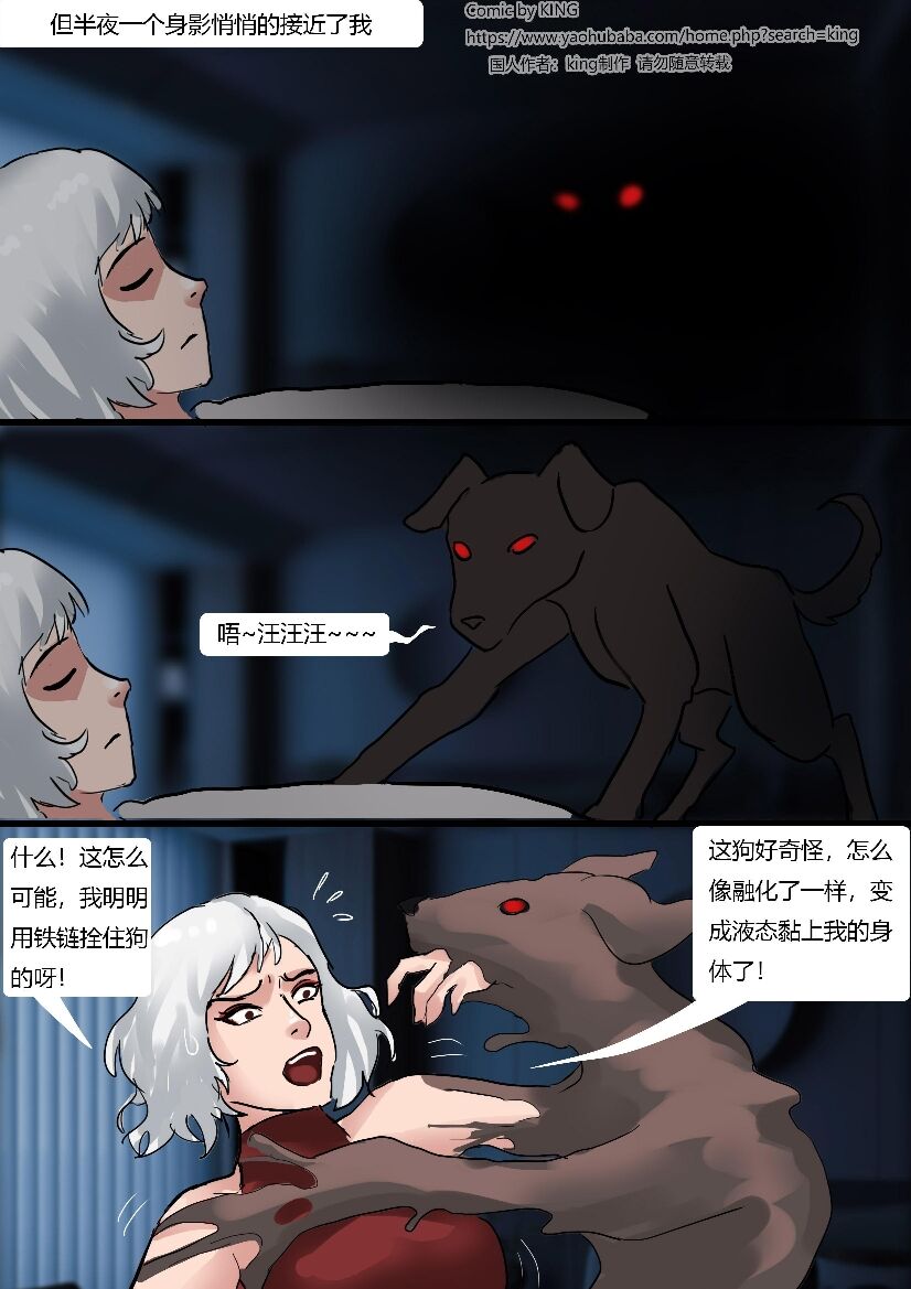 [King] Petshop image number 15