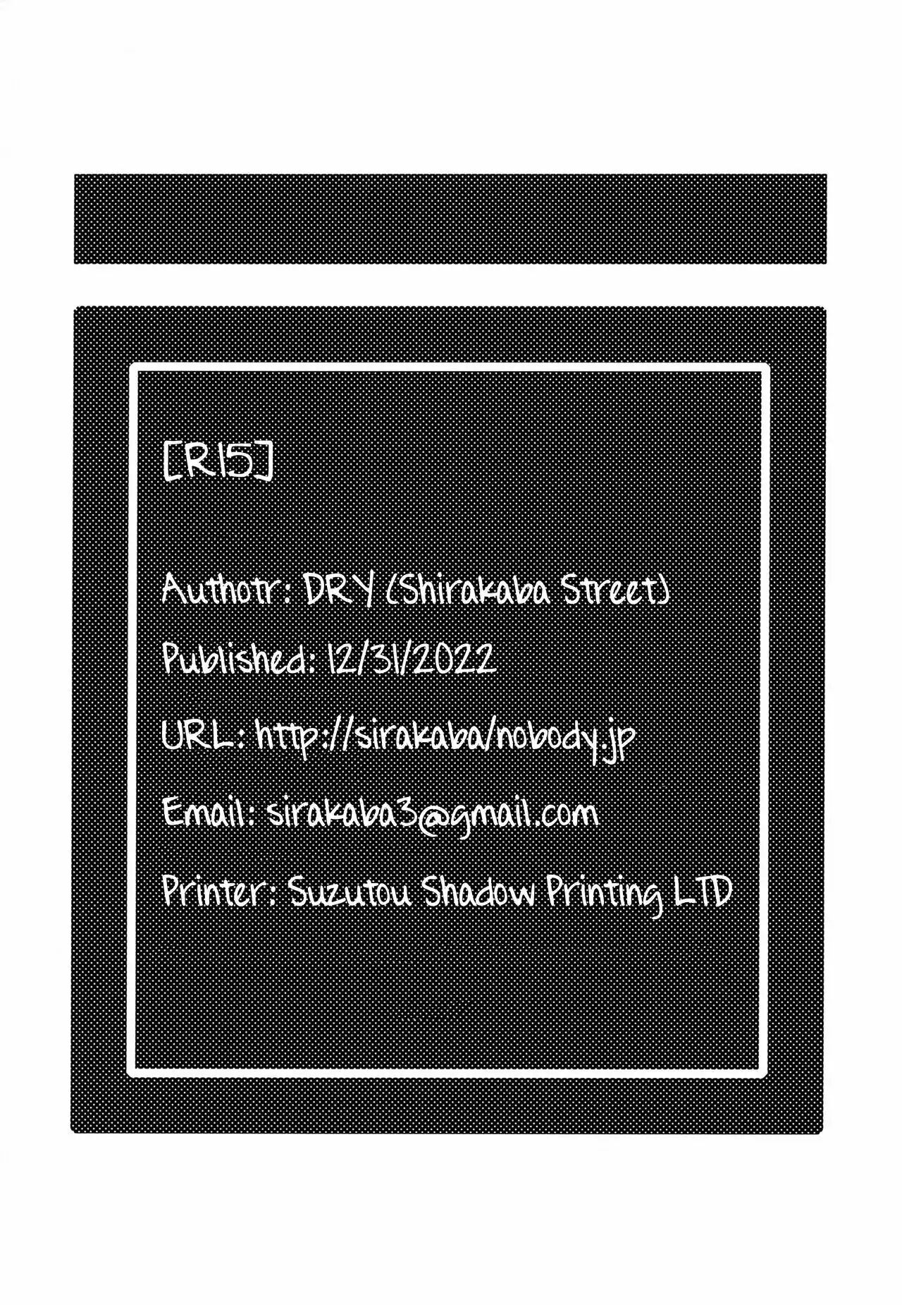 [DRY] (C101) Shirakaba Street изображение № 17