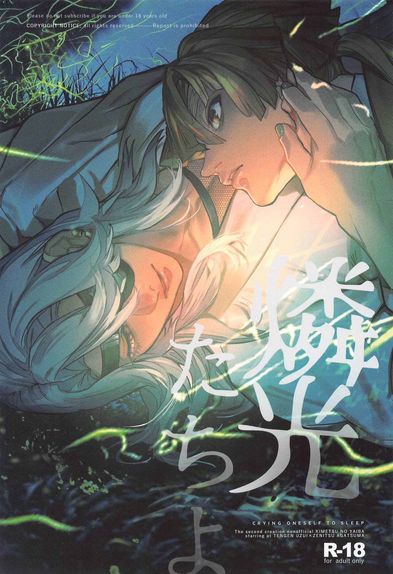 [Byakko Kashi (yok)] Rinkou-tachi yo - CRYING ONESELF TO SLEEP  (Kimetsu no Yaiba) image number 1