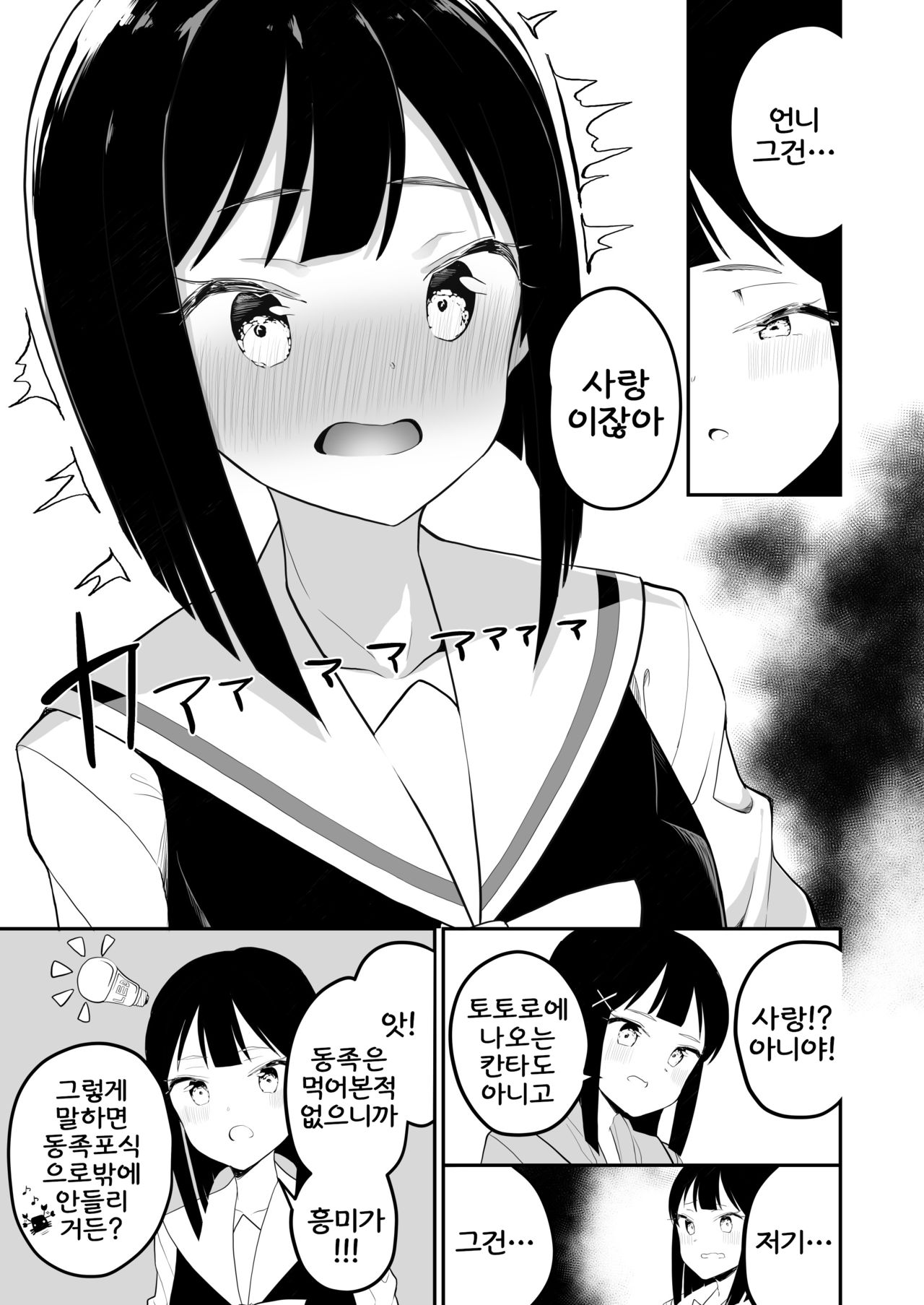 (C97) [House Saibai Mochi (Shiratama Moti)] Succubus no Yuri na Hanashi | 서큐버스 백합 이야기 [Korean] изображение № 20