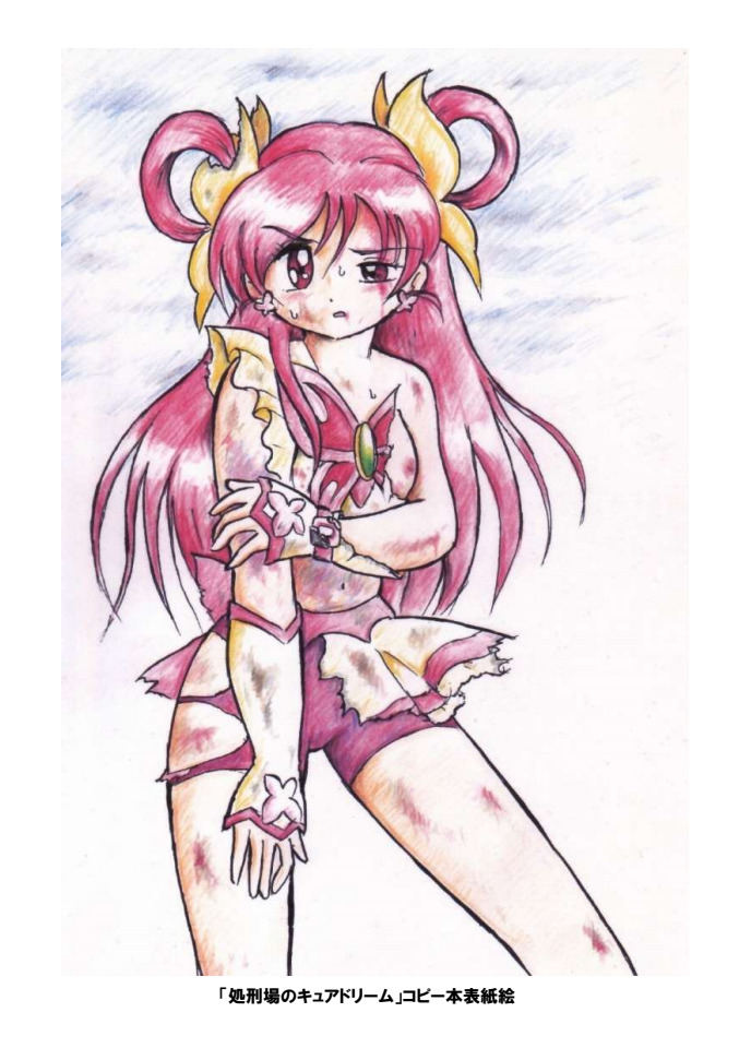 [Tyoujiya Zantou (Matsumoto Kenji)] Shokeijou no Cure Dream Zouho Kaitei PDF Ban (Yes! Precure 5) изображение № 45