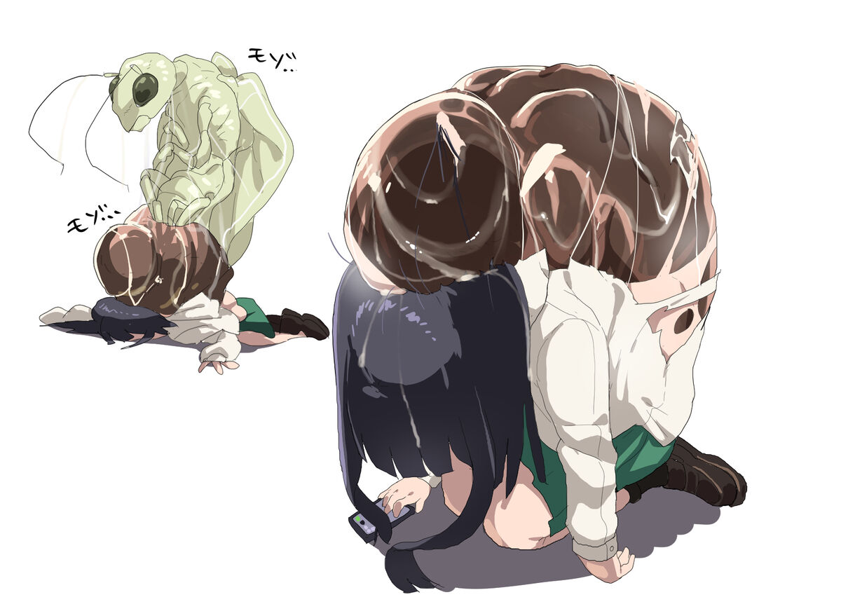 [Fusumaka/麩香] Transformation Art from Pixiv image number 51