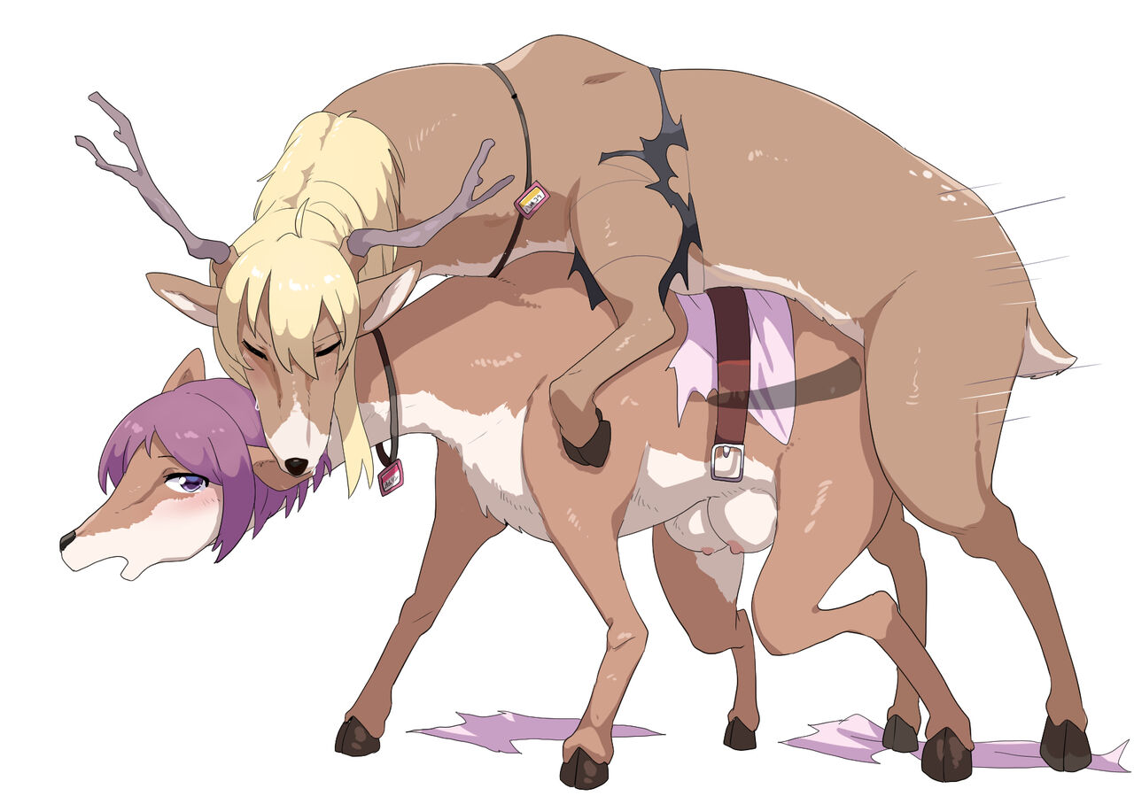 [Fusumaka/麩香] Transformation Art from Pixiv image number 55