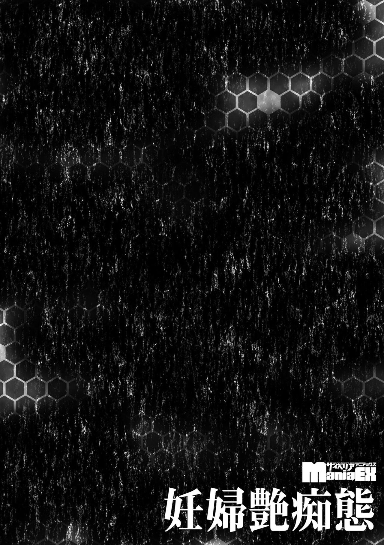 [ぶんか社] 妊婦艶痴態 imagen número 128