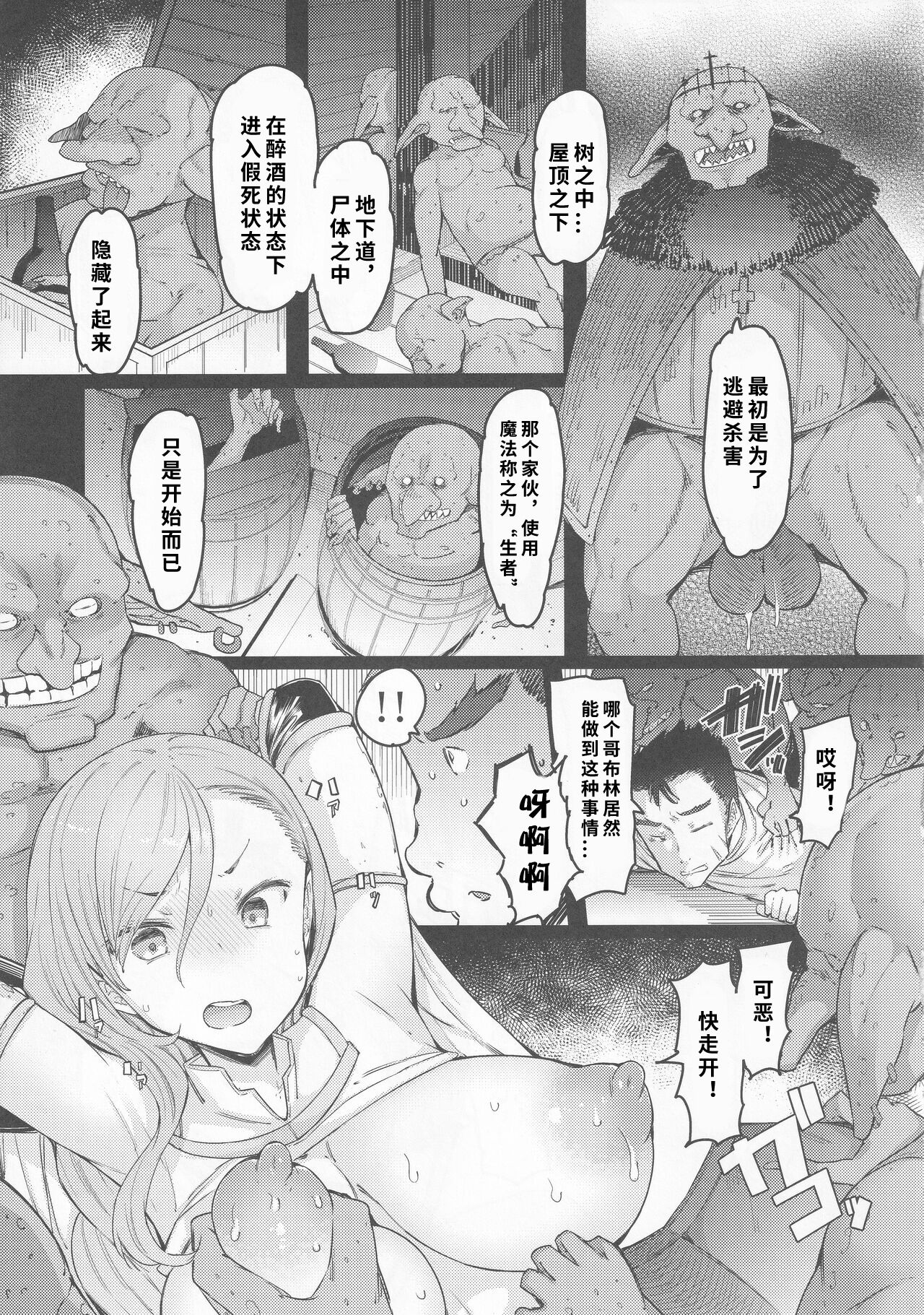 (C101) [Furansowa (EBA)] Kooni no Henpou Kouhen (Goblin Slayer)【1寸光阴个人汉化】 image number 6