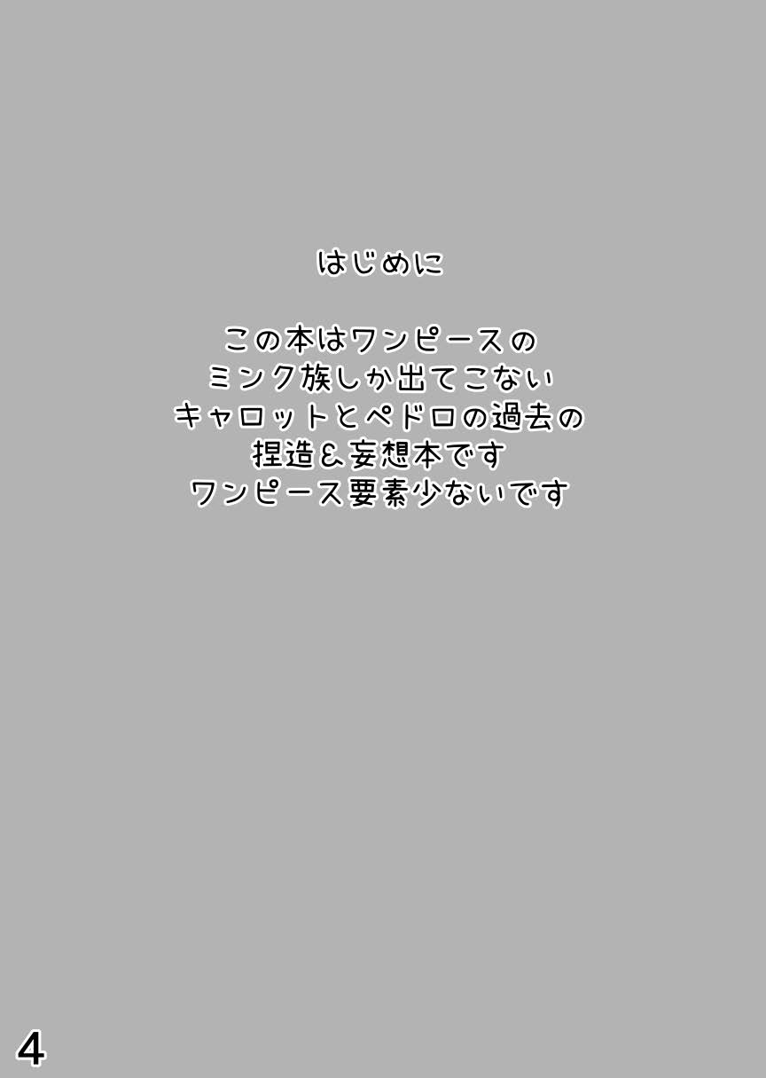 (Kemoket 12) [Kuri Gohan (Yocchi)] Mangetsu no Yoru ni (One Piece) 이미지 번호 3