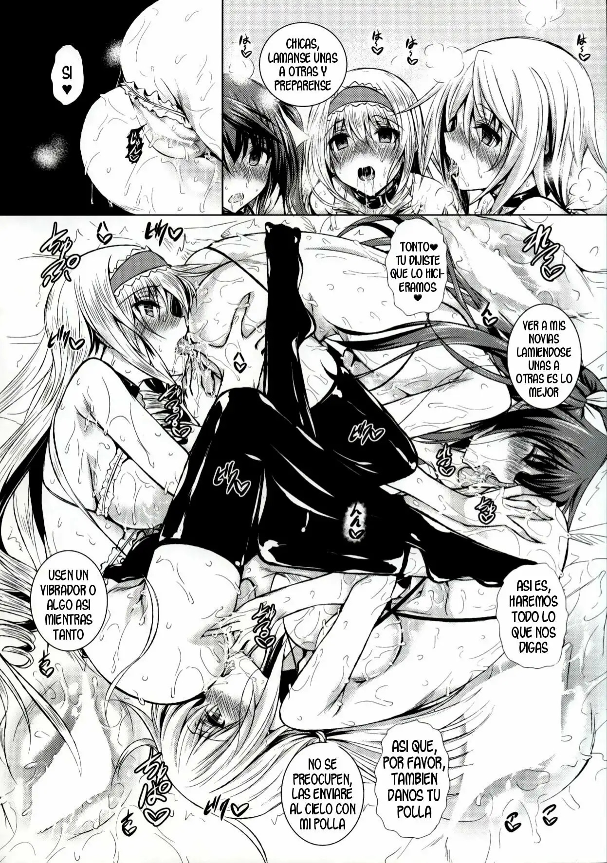 (C85) [Akausagi (Fukuyama Naoto)] ISHR (IS <Infinite Stratos>) [Spanish] 이미지 번호 10