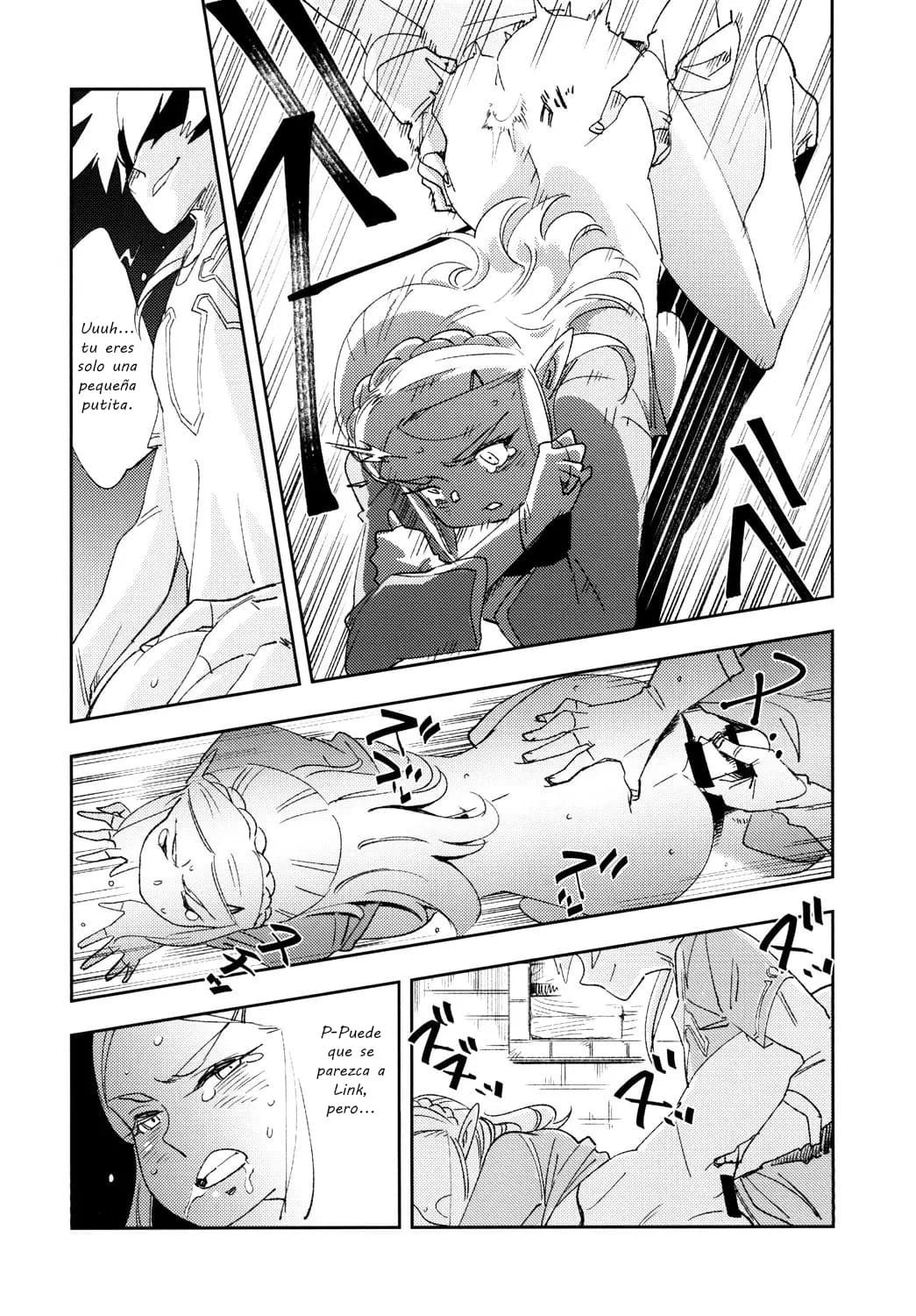 (CT30) [Haraise Kaiwai (Yucchris)] TRUST&CENTURY (The Legend of Zelda) [Spanish] [El Palacio de la Lujuria] image number 11