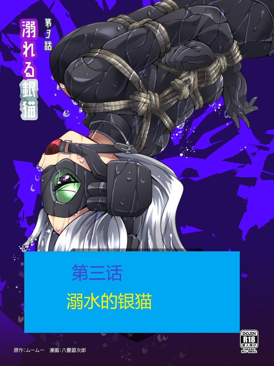 怪盗シルバーキャット漫画版 全話【中国翻訳】 numero di immagine  51