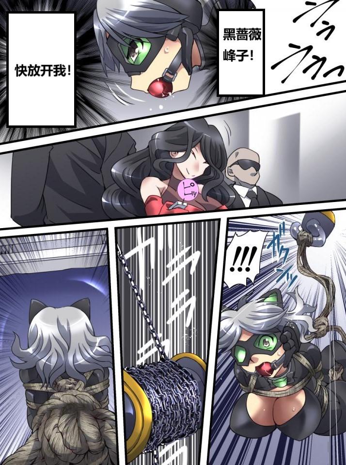 怪盗シルバーキャット漫画版 全話【中国翻訳】 numero di immagine  54