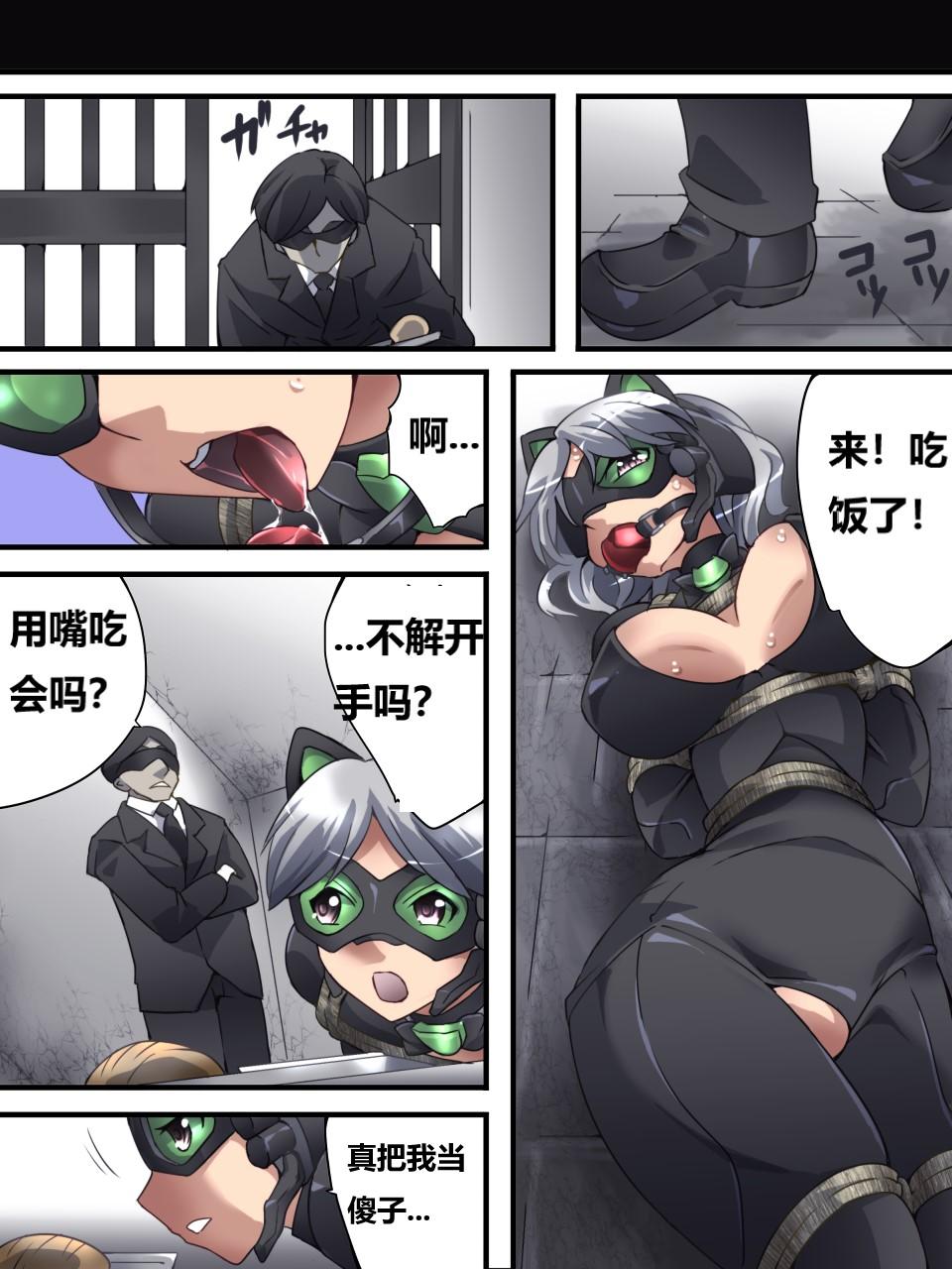 怪盗シルバーキャット漫画版 全話【中国翻訳】 numero di immagine  69