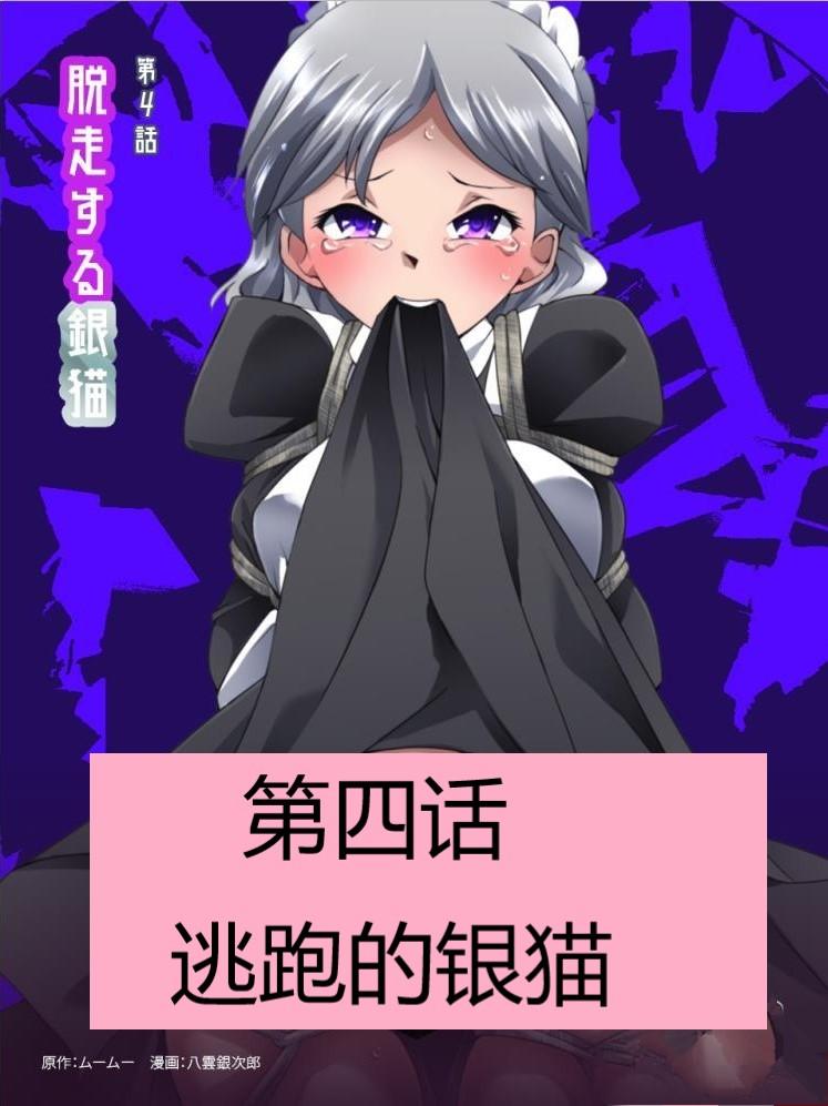 怪盗シルバーキャット漫画版 全話【中国翻訳】 numero di immagine  73