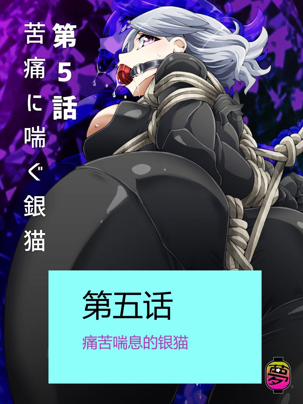 怪盗シルバーキャット漫画版 全話【中国翻訳】 numero di immagine  95